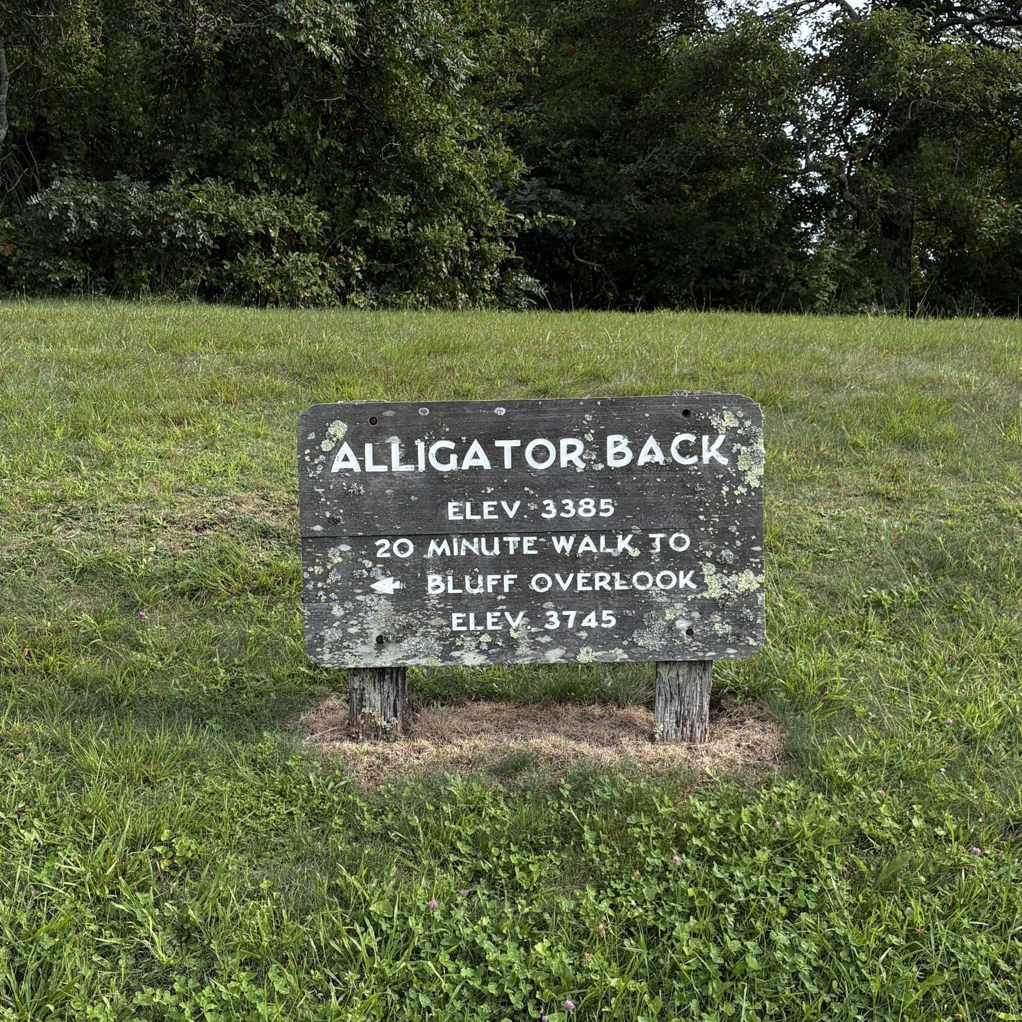 Alligator Back Overlook