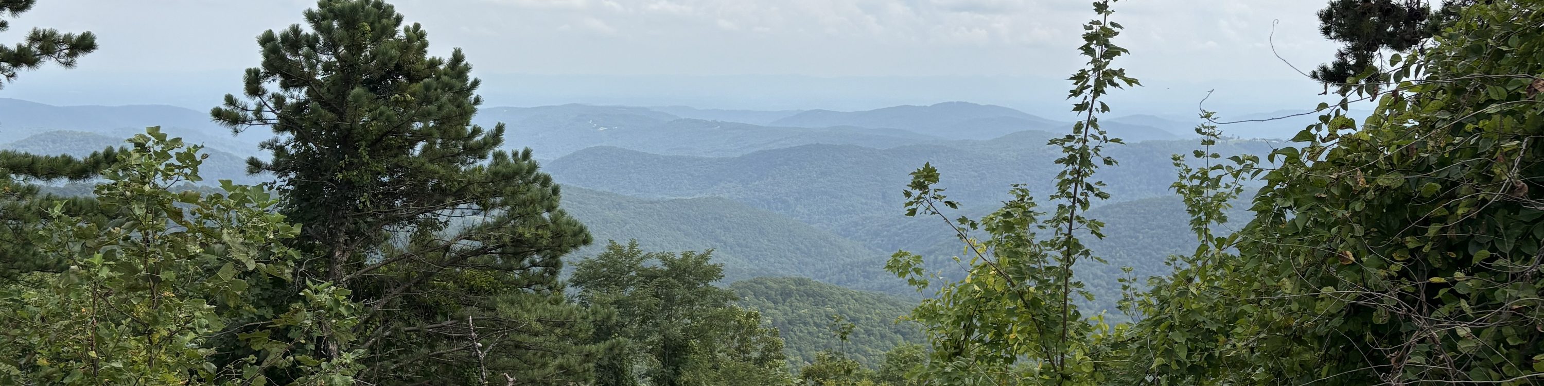 Basin Cove Overlook