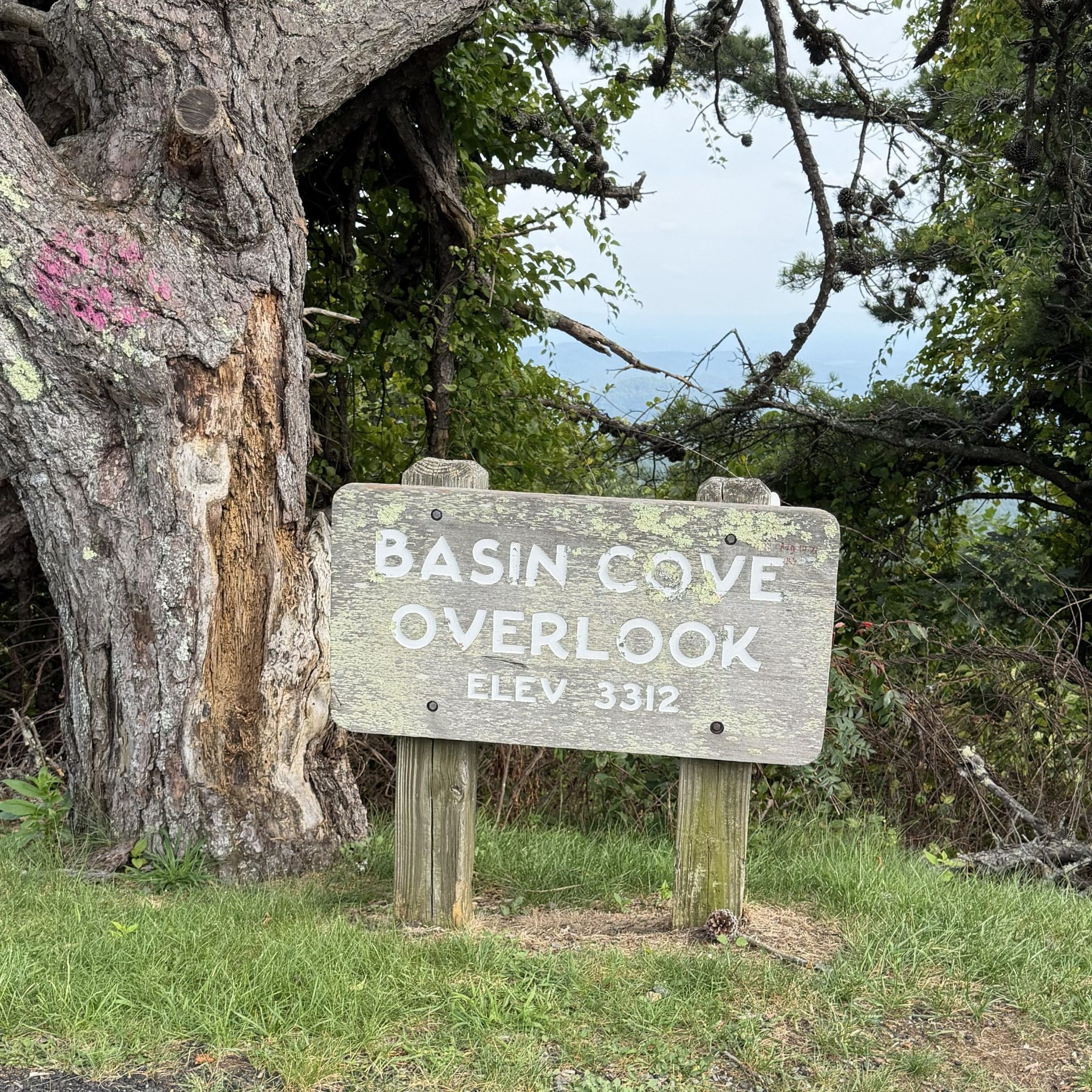 Basin Cove Overlook