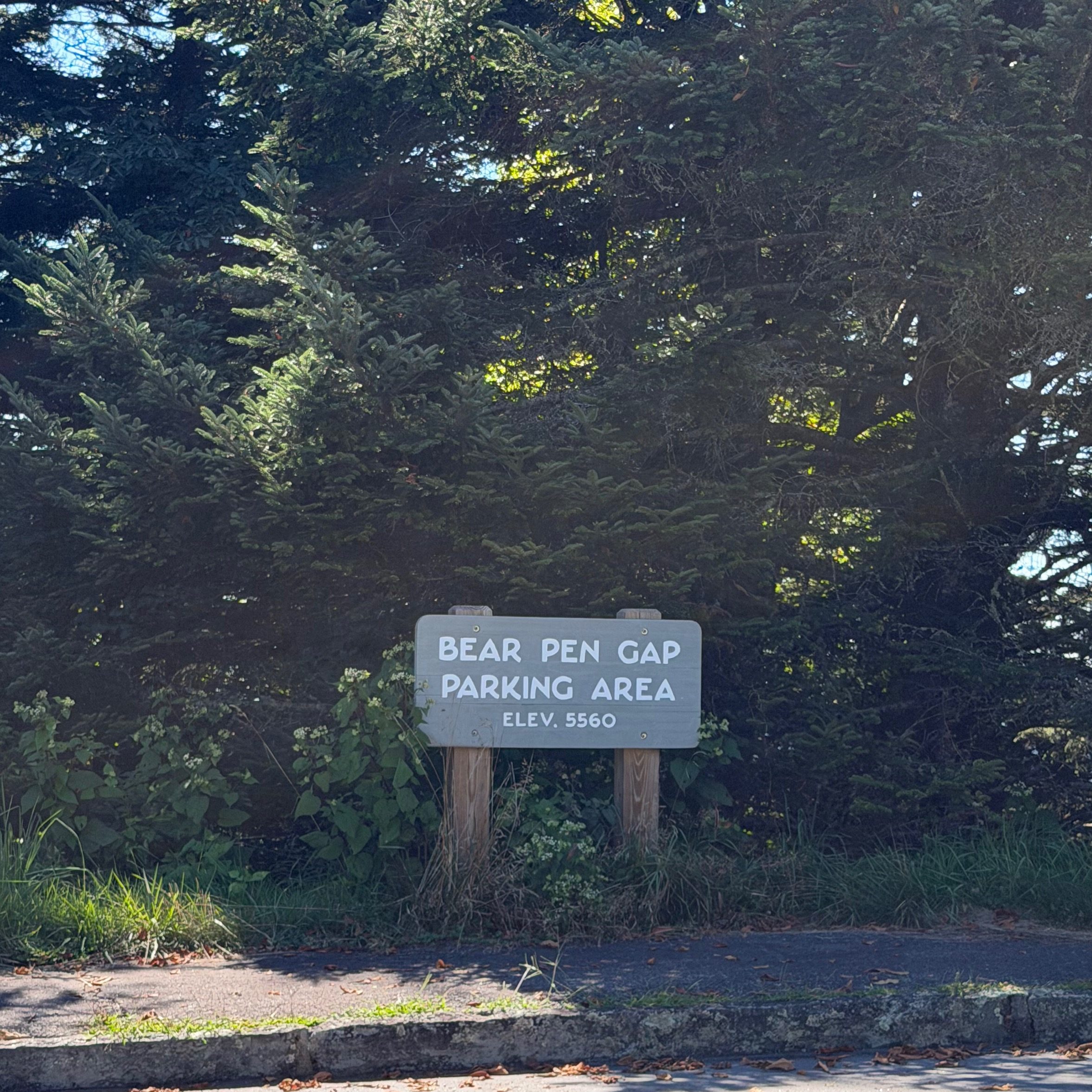 Bear Pen Gap