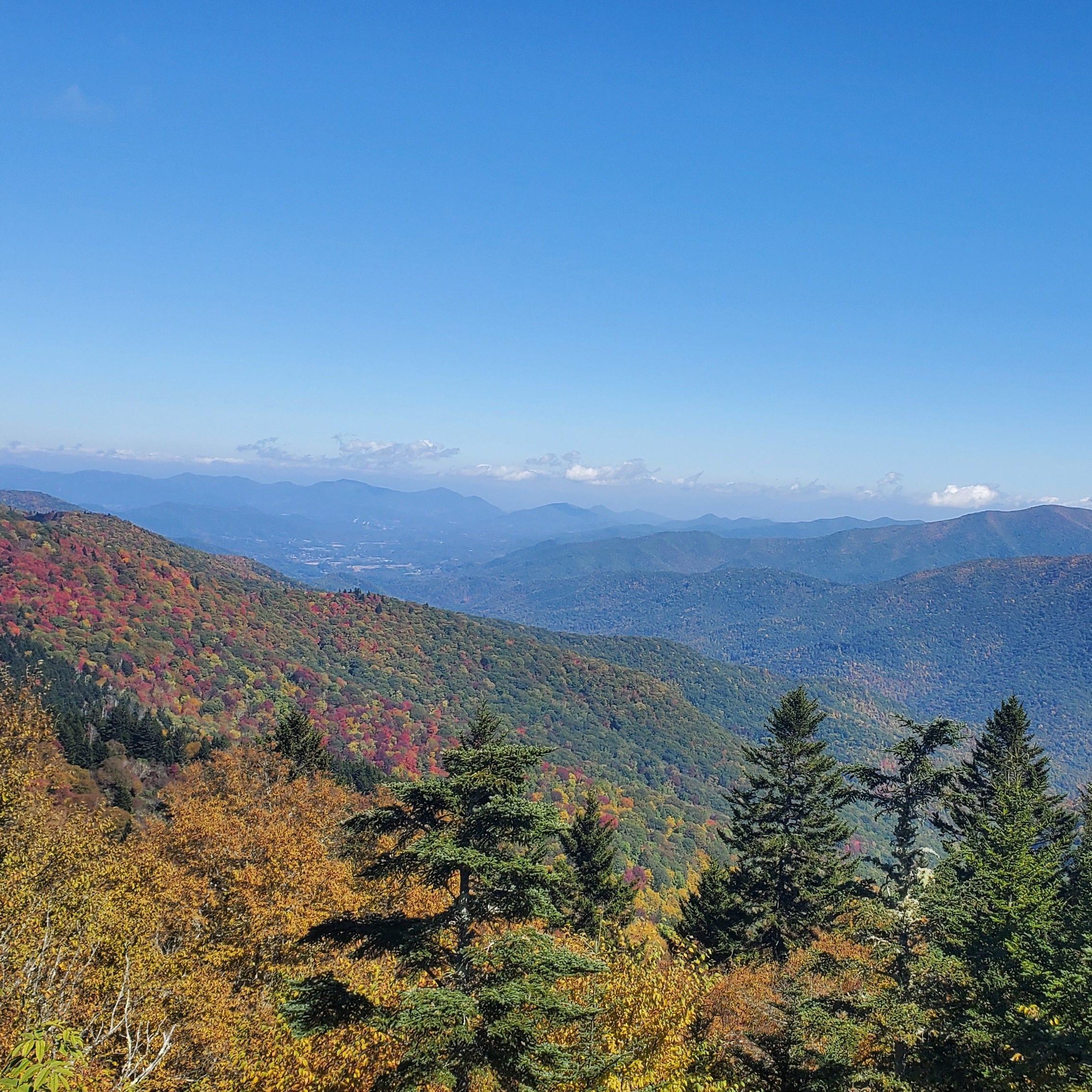 Photo of beartrail-ridge