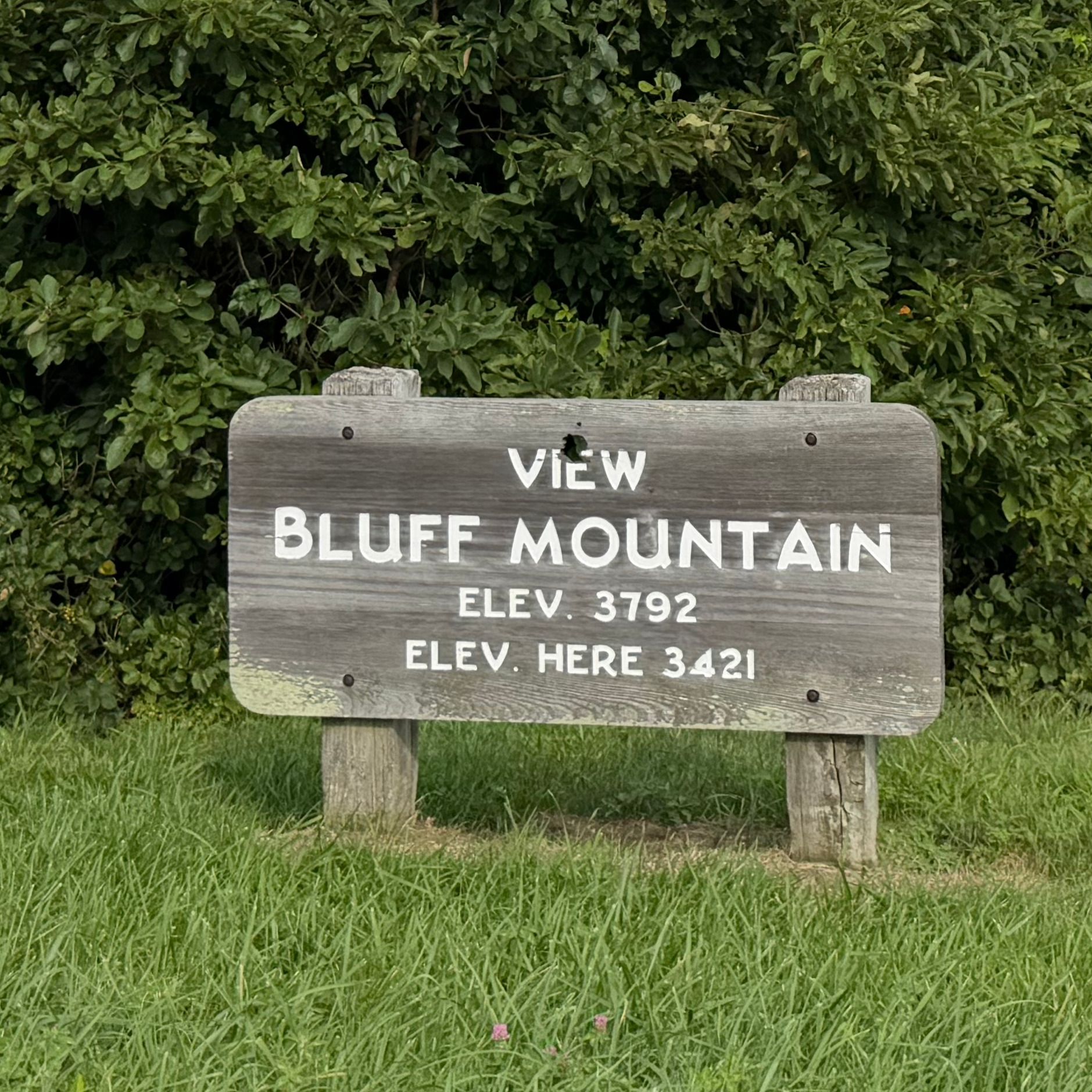 View of Bluff Mountain