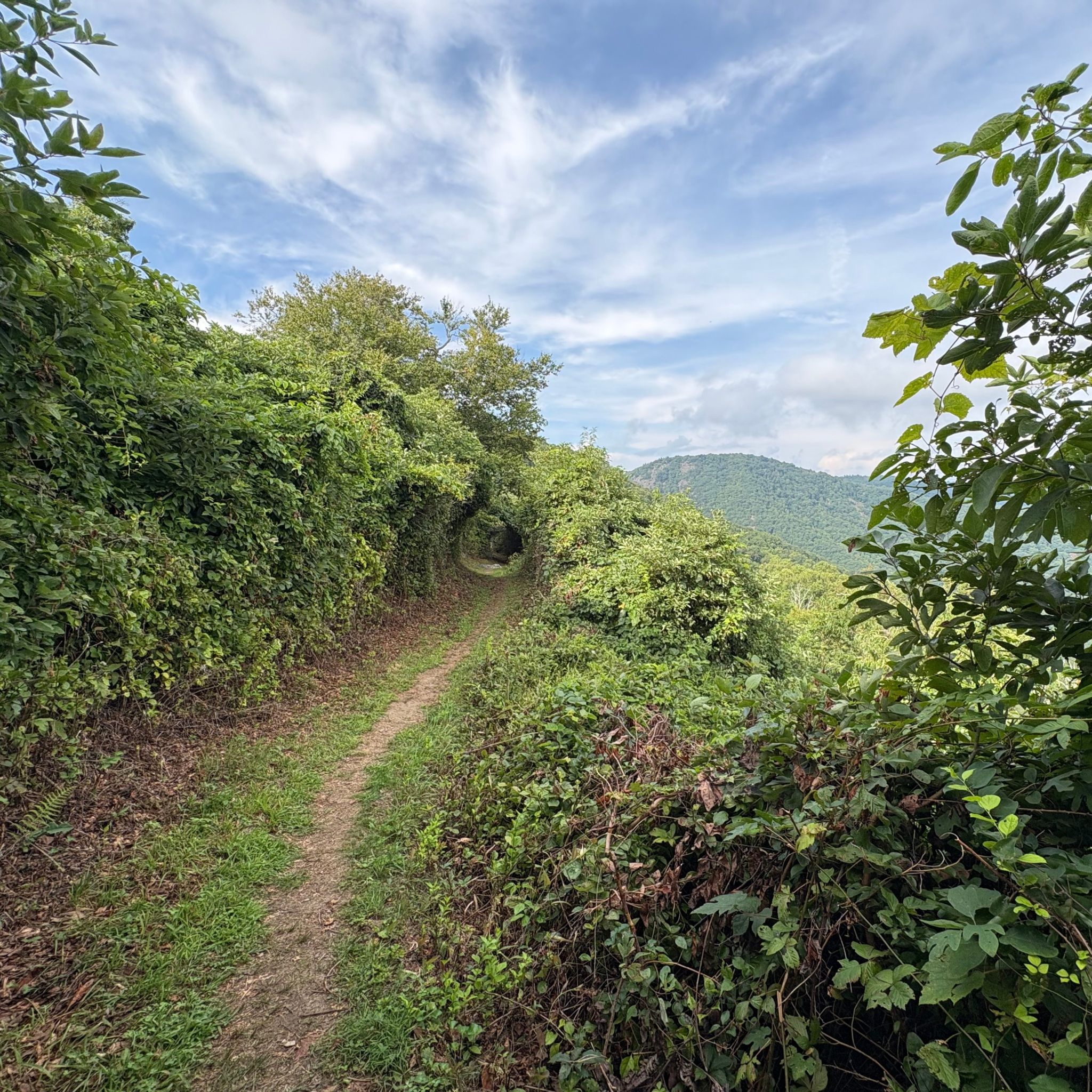 Photo of bluff-mountain