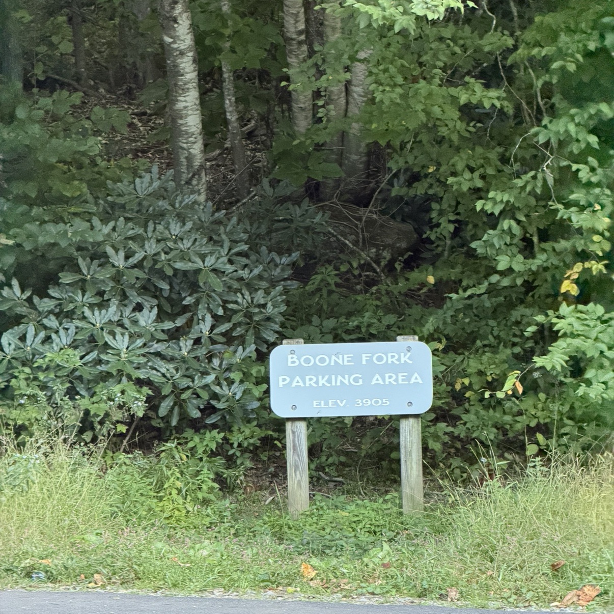 Boone Fork Parking Area
