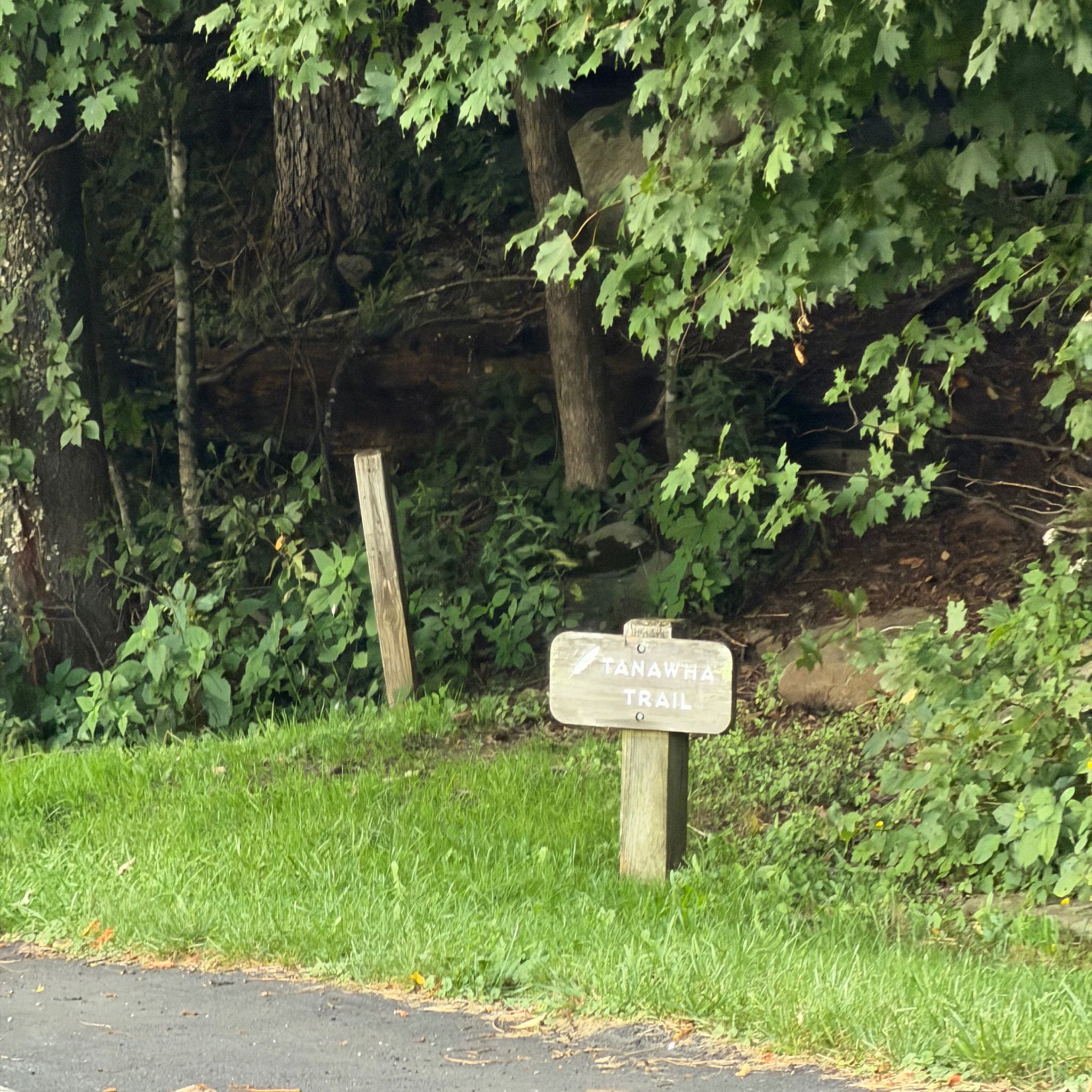 Tanawha Trail Access
