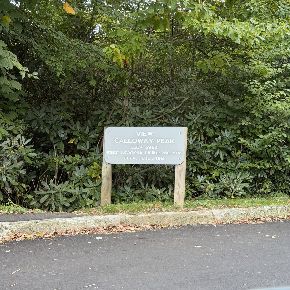 View of Calloway Peak