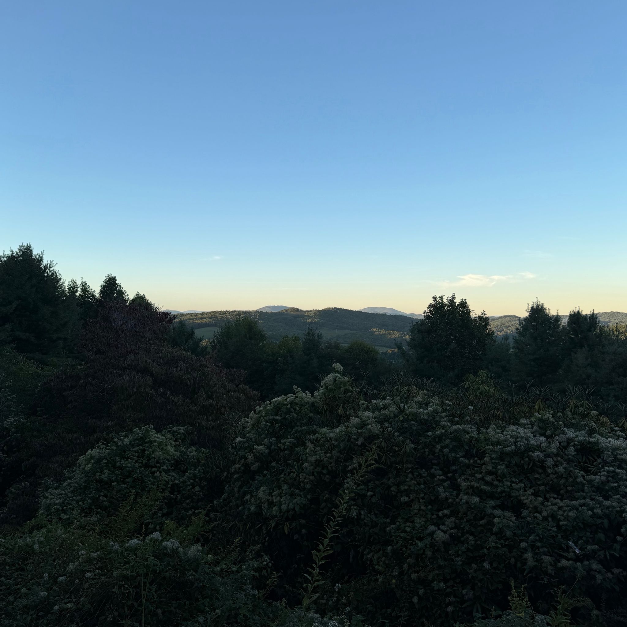 Photo of carroll-gap