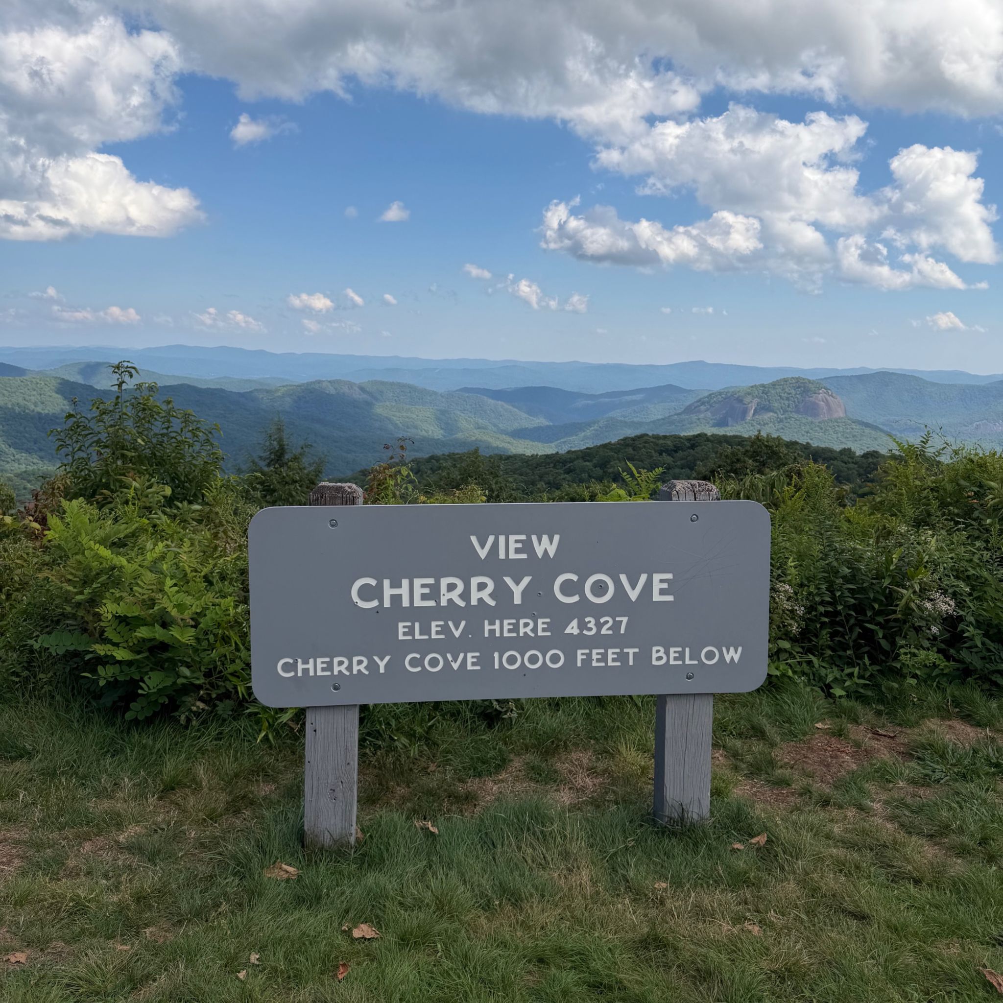 View of Cherry Cove