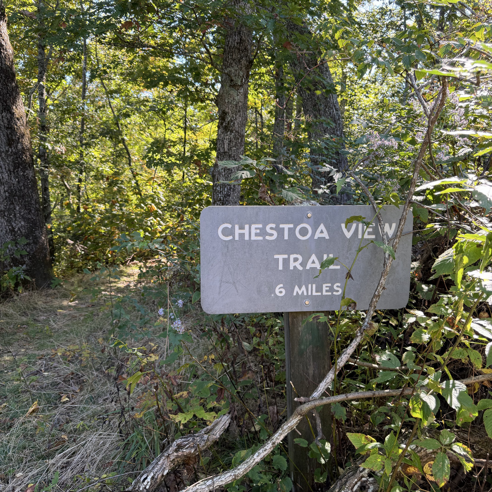 Photo of chestoa-view
