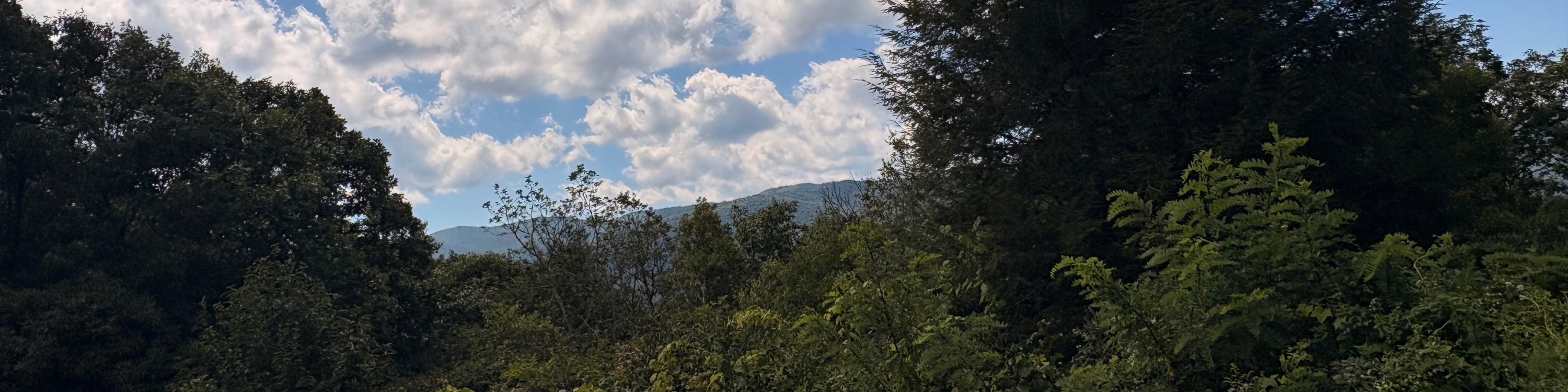 View of Cold Mountain