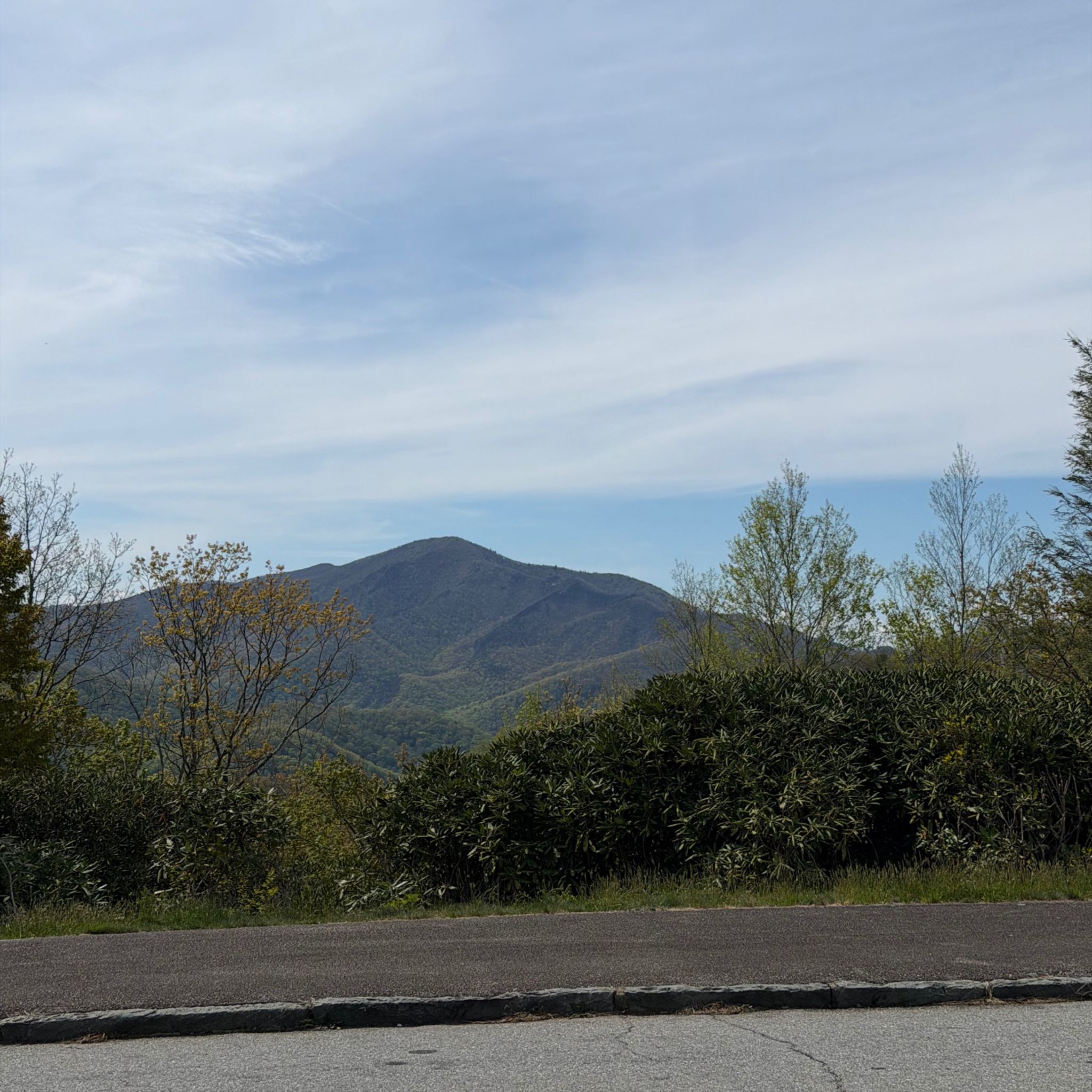 Photo of cold-mountain