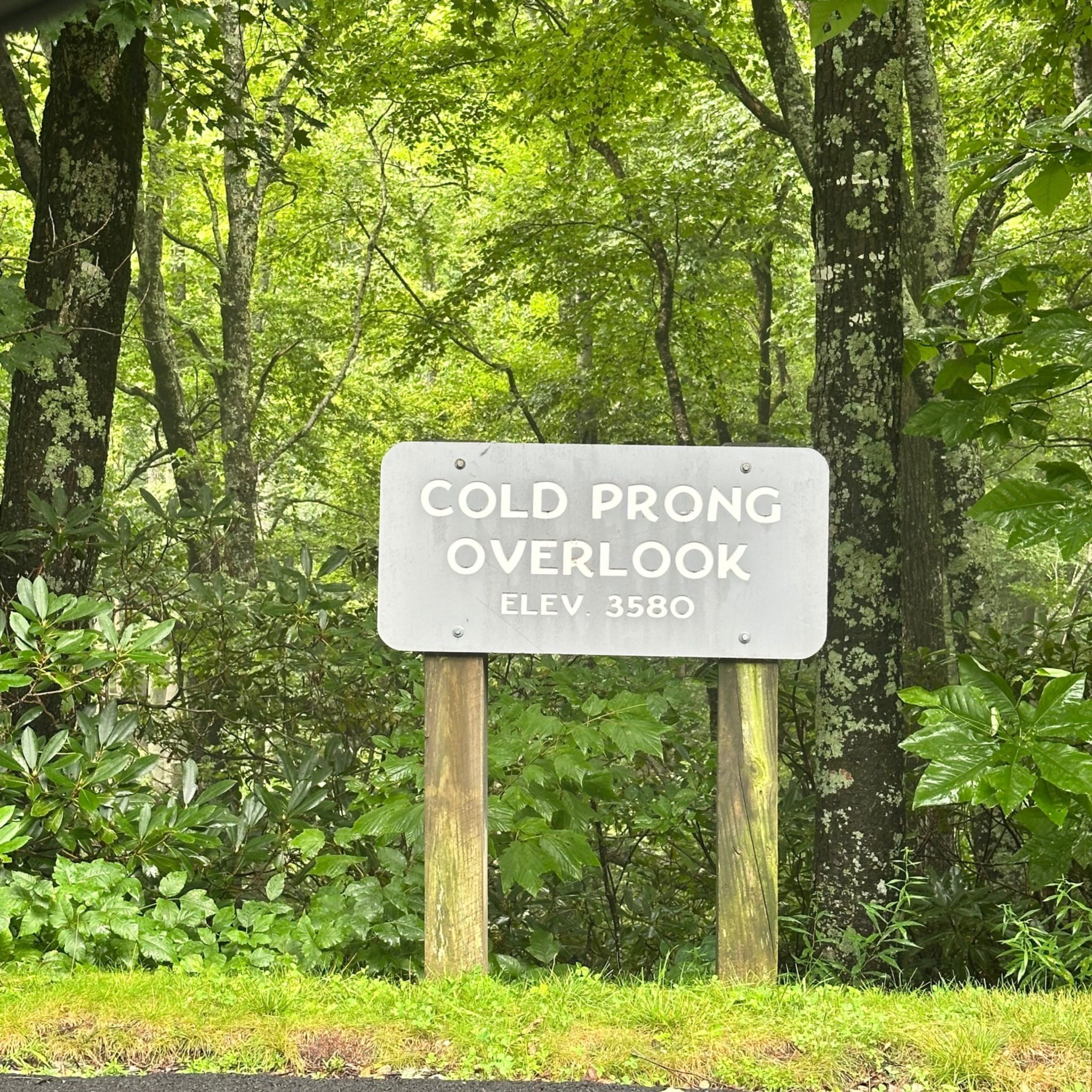 Cold Prong Overlook
