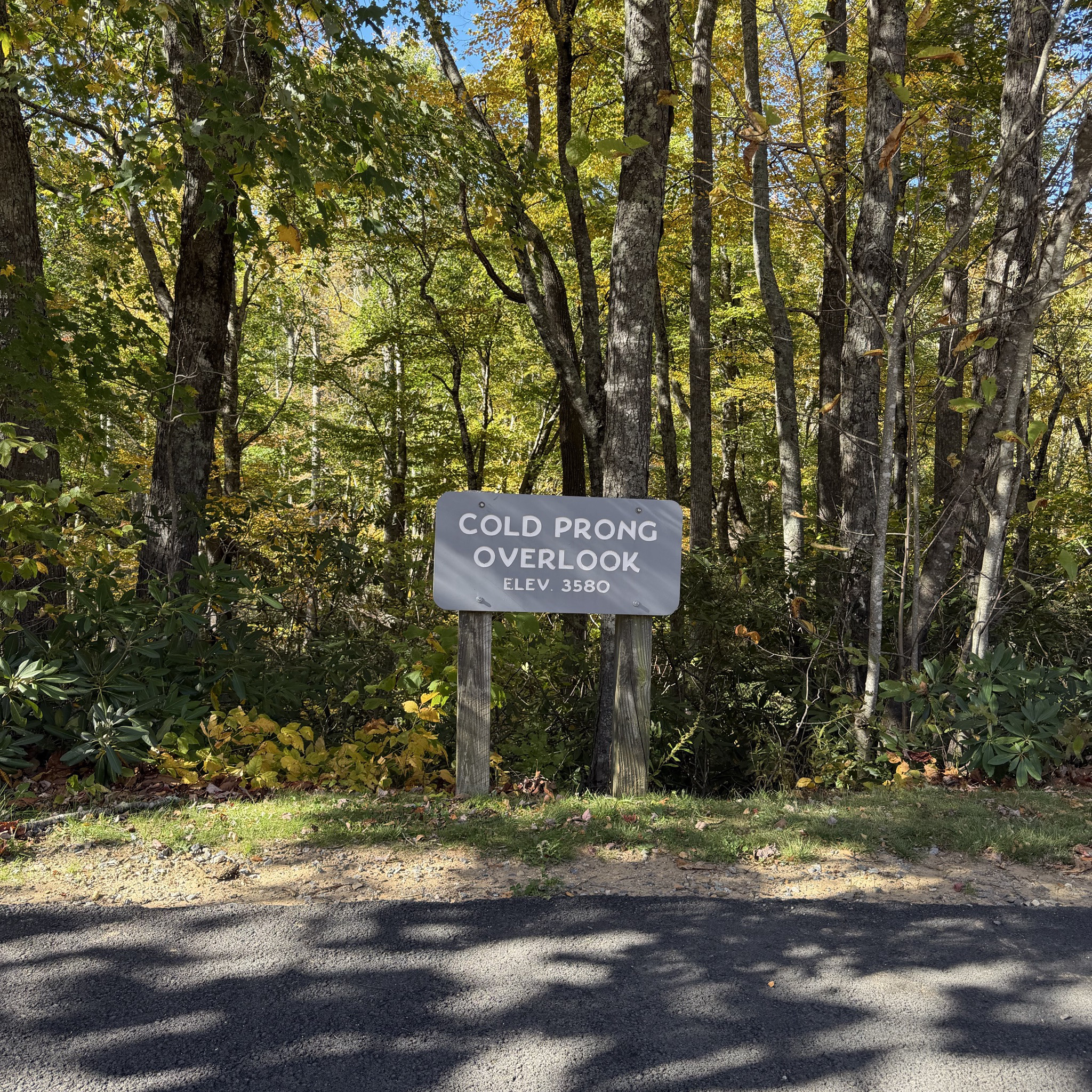 Cold Prong Overlook