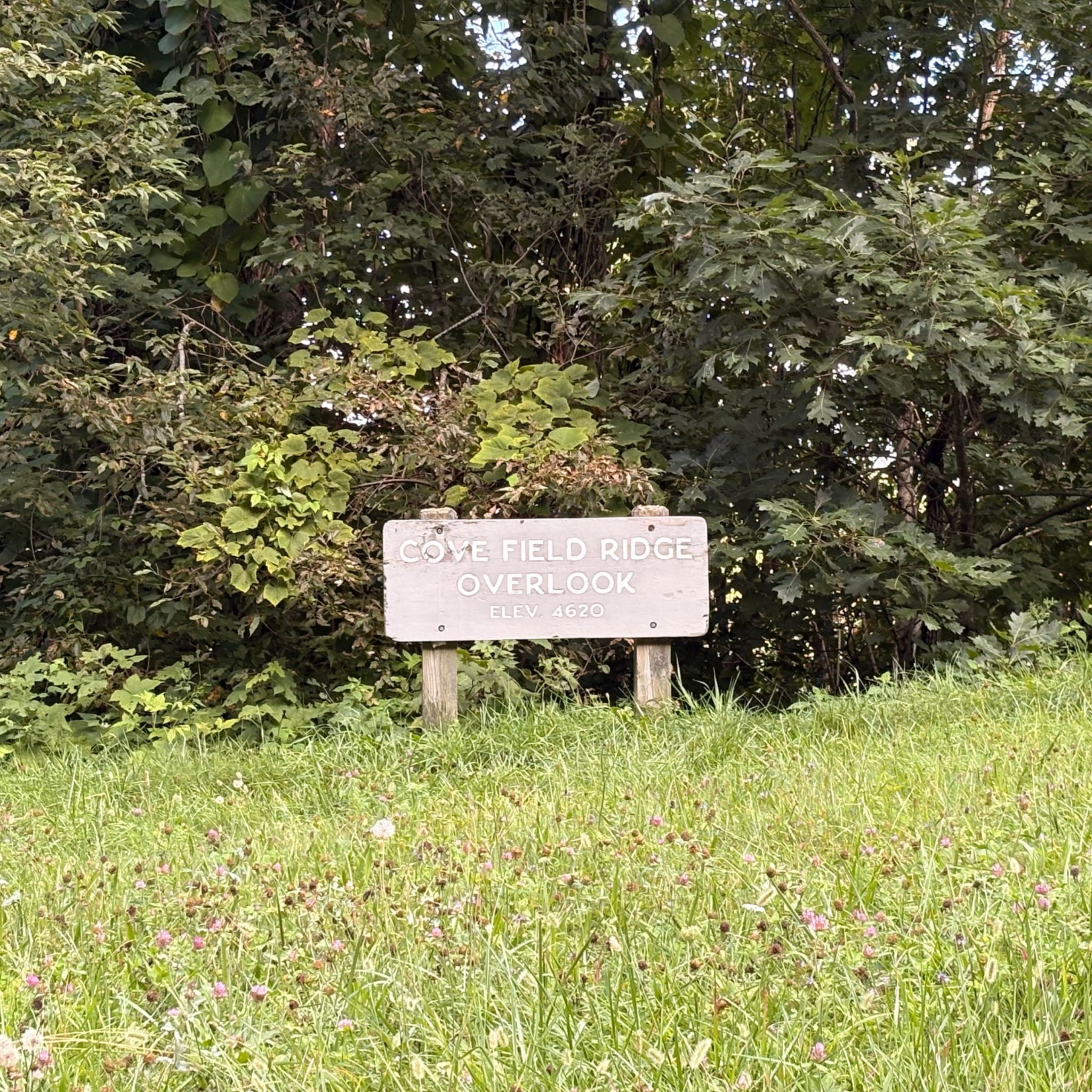 Cove Field Ridge Overlook