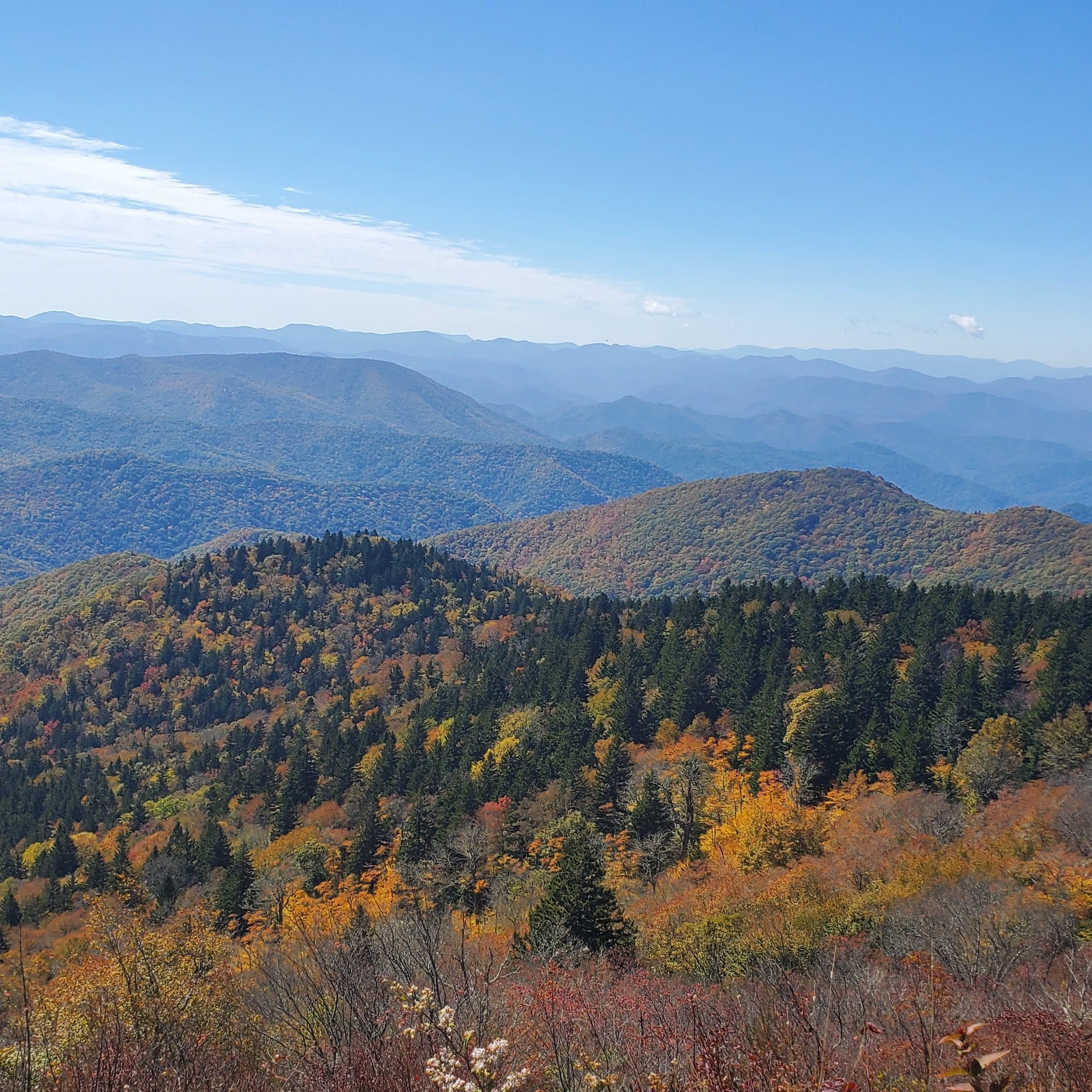 Photo of cowee-mountain