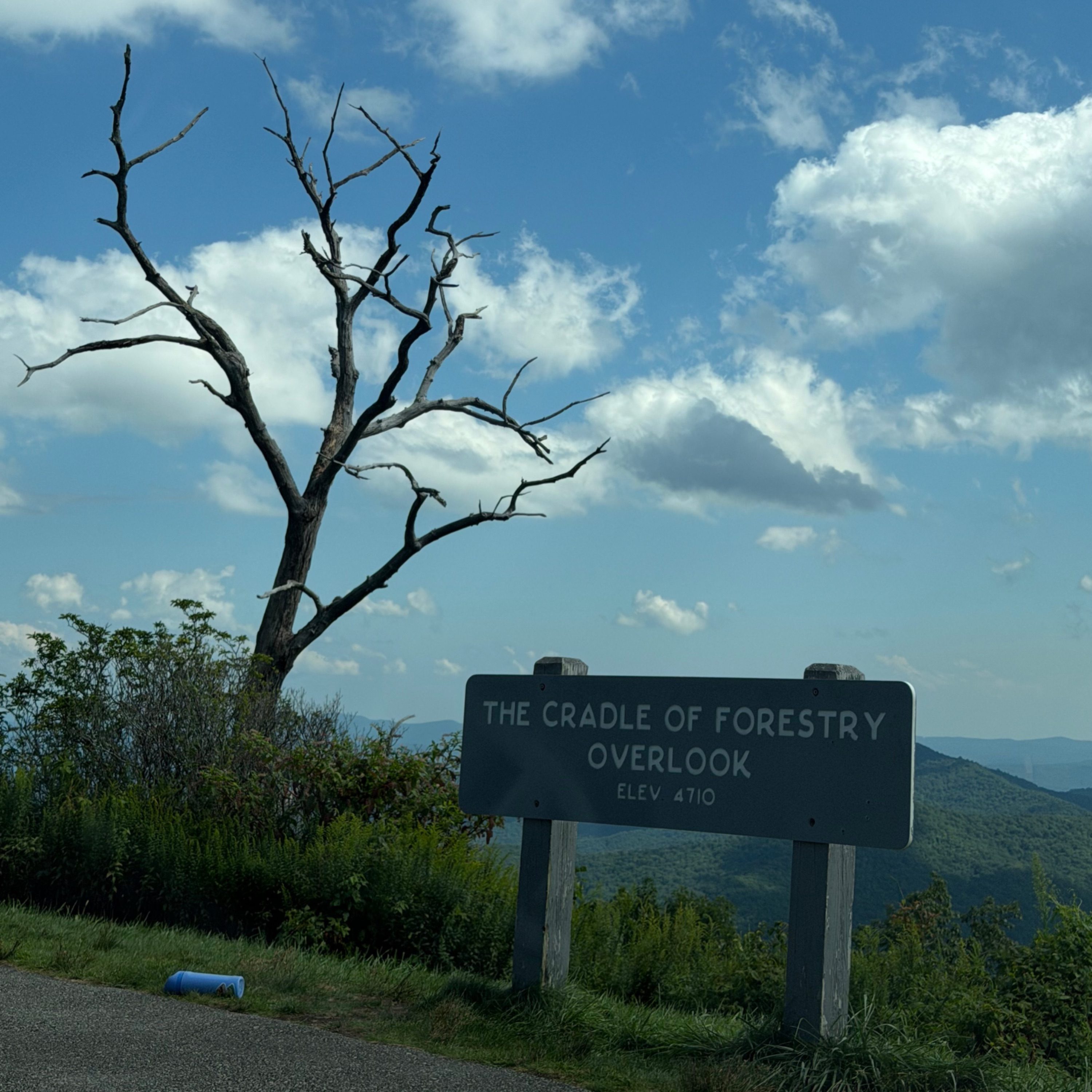 The Cradle of Forestry Overlook