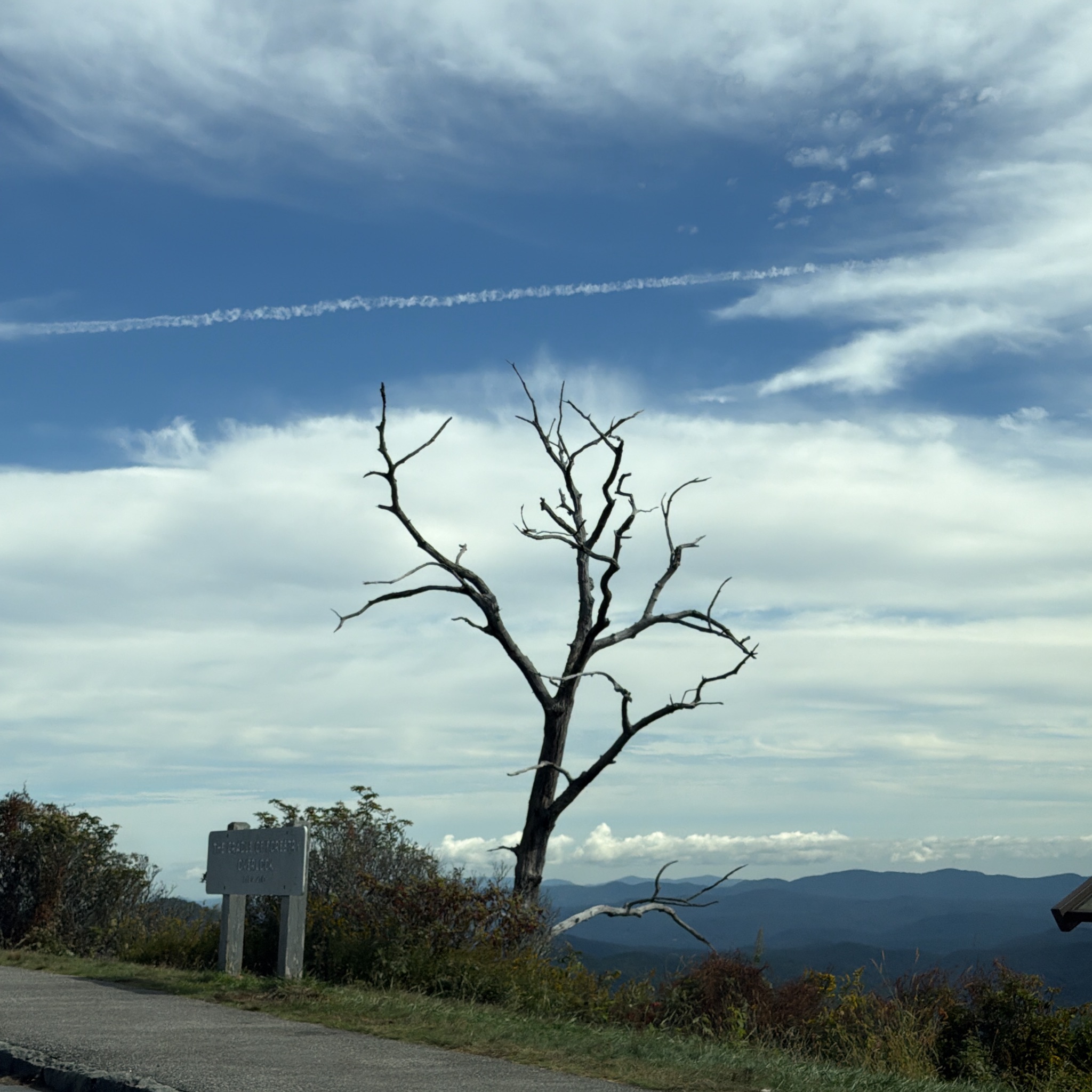 Photo of cradle-of-forestry
