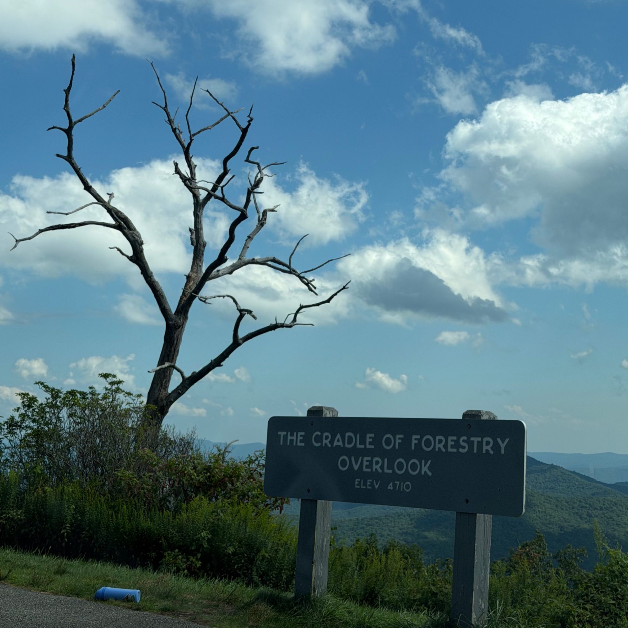 Photo of cradle-of-forestry