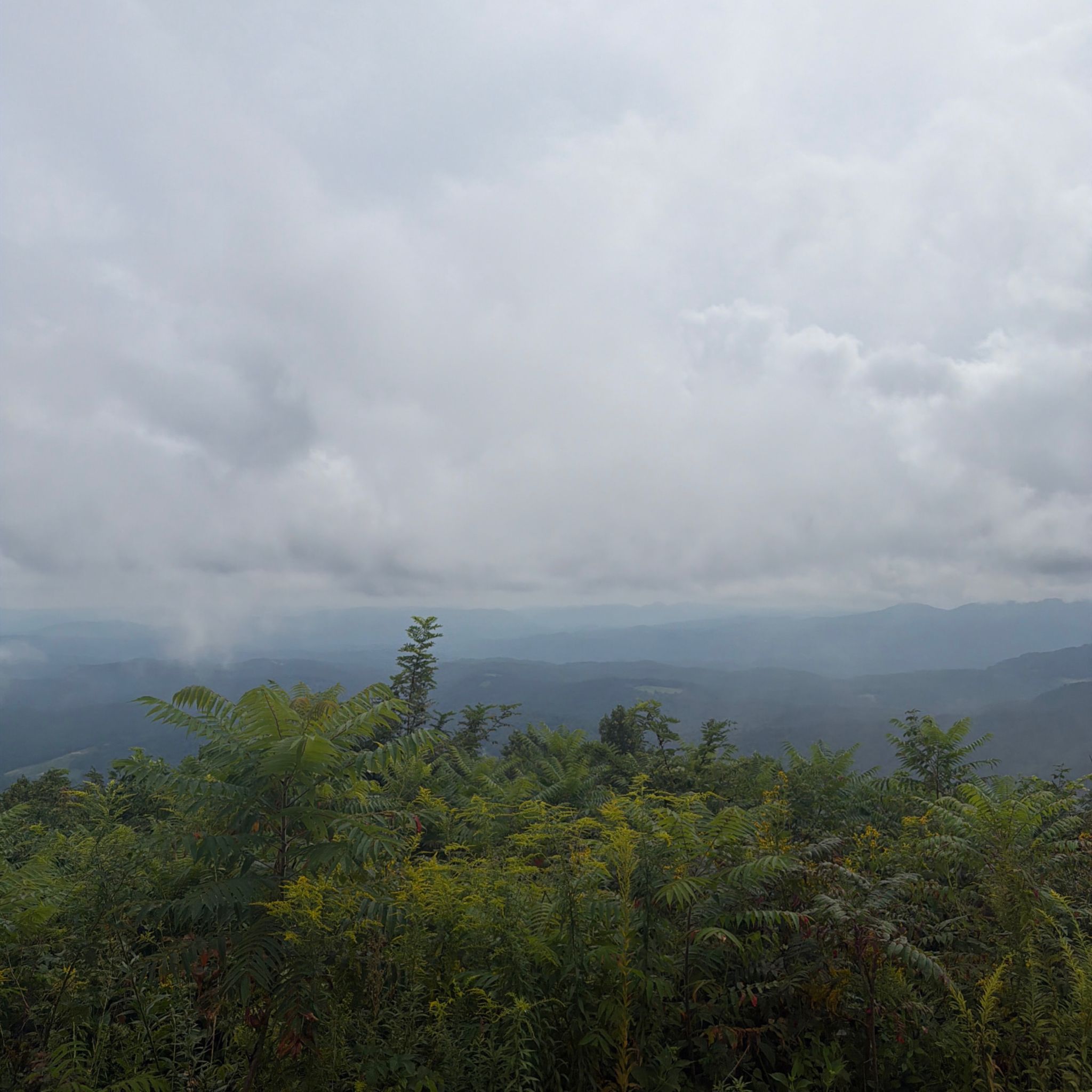 Photo of elk-mountain
