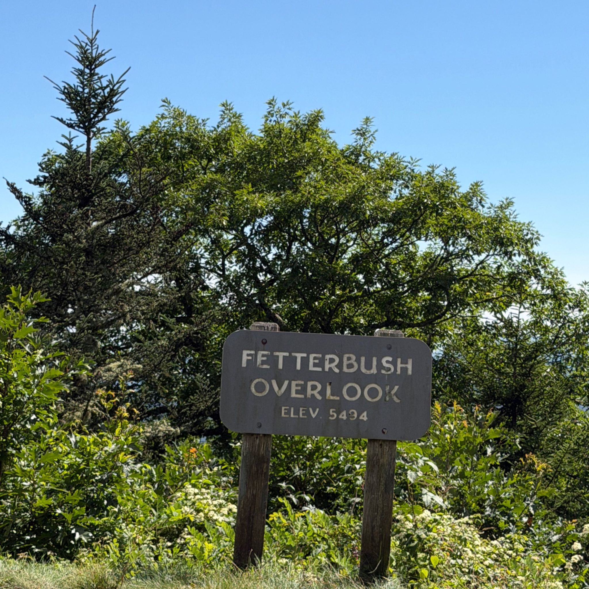 Fetterbush Overlook