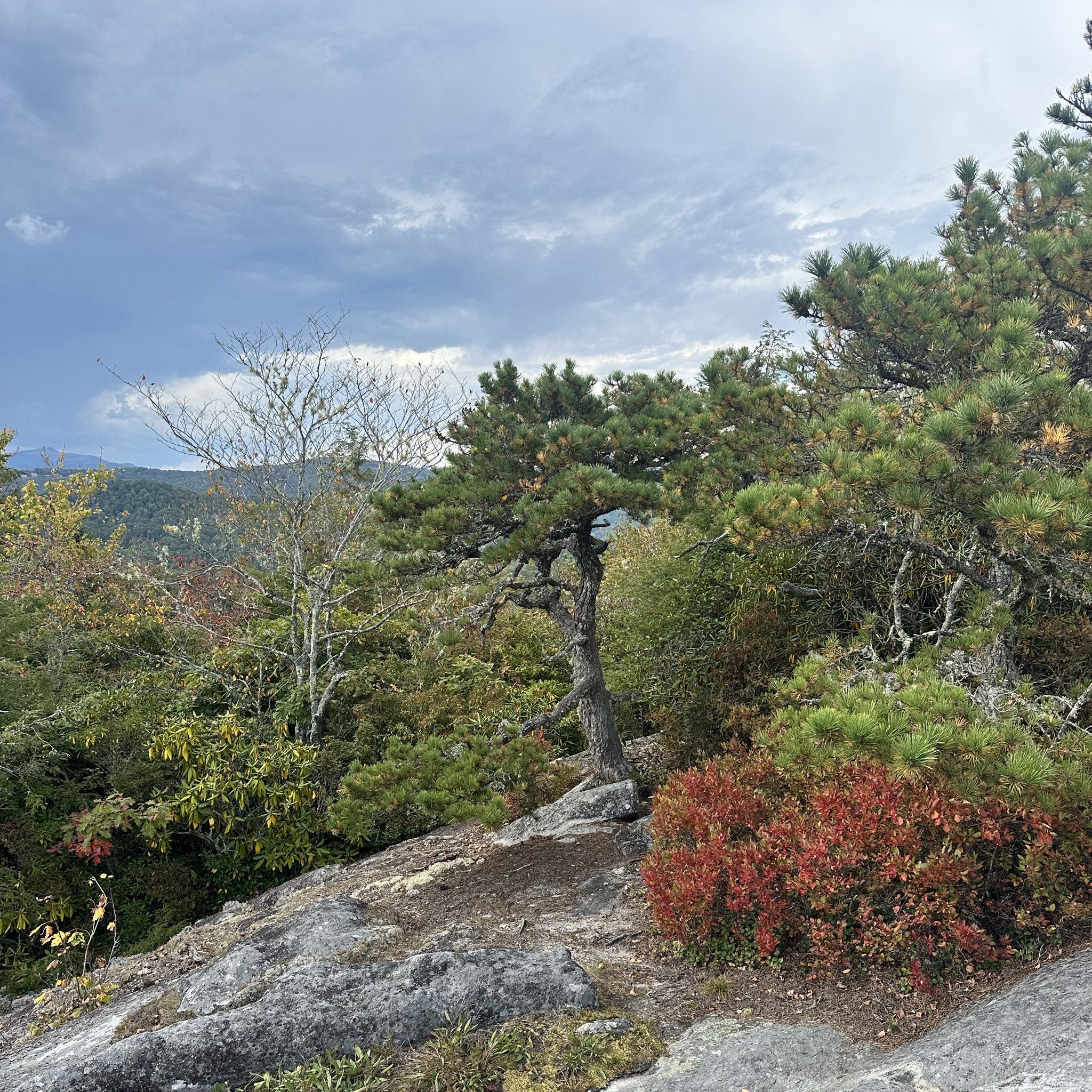 Photo of flat-rock-parking