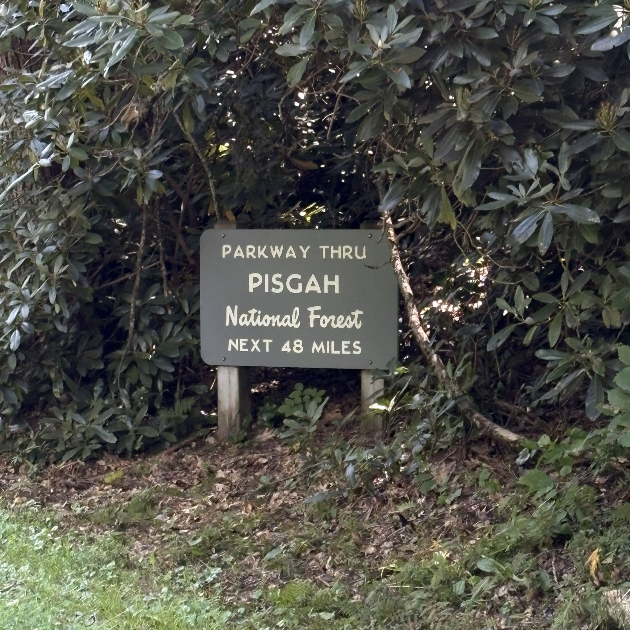 Photo of flat-rock-parking