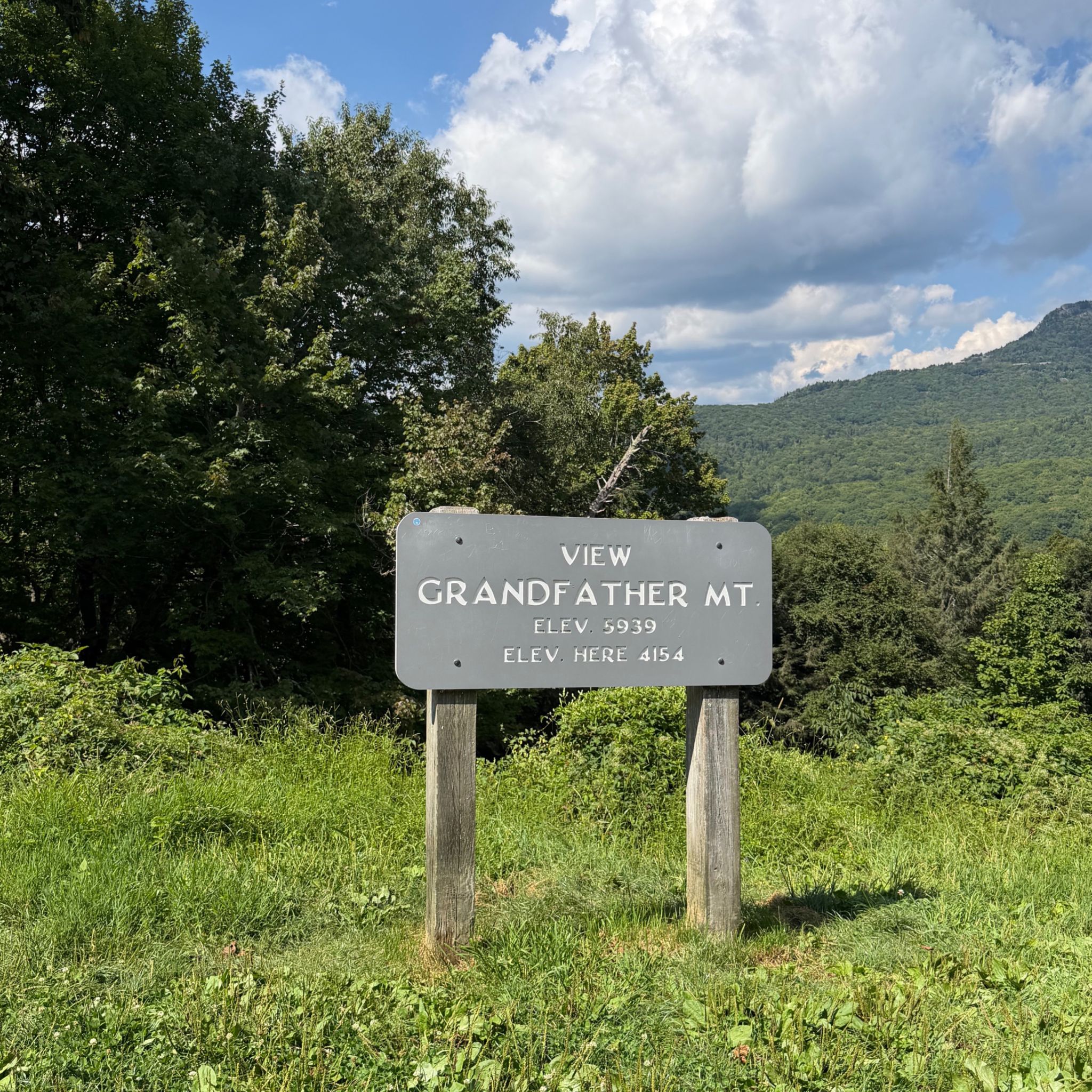 View of Grandfather Mountain