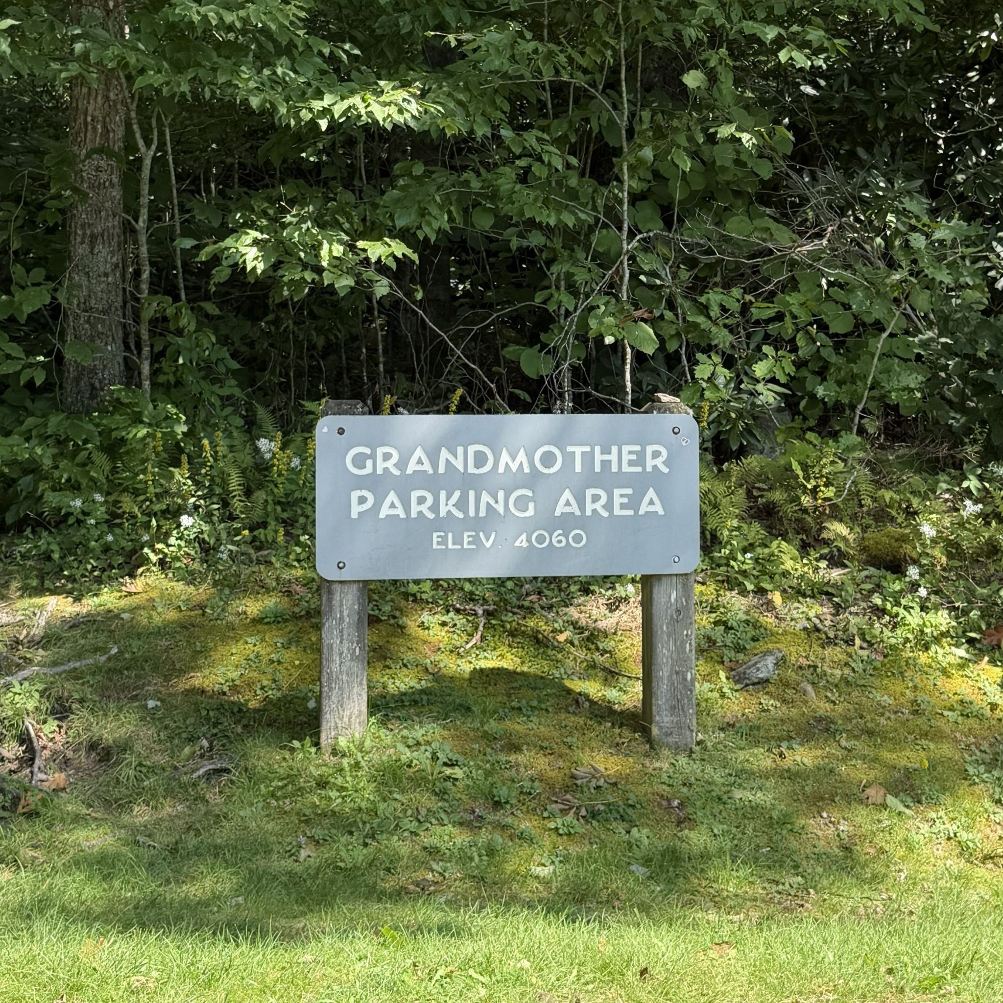 Grandmother Mountain Parking Area