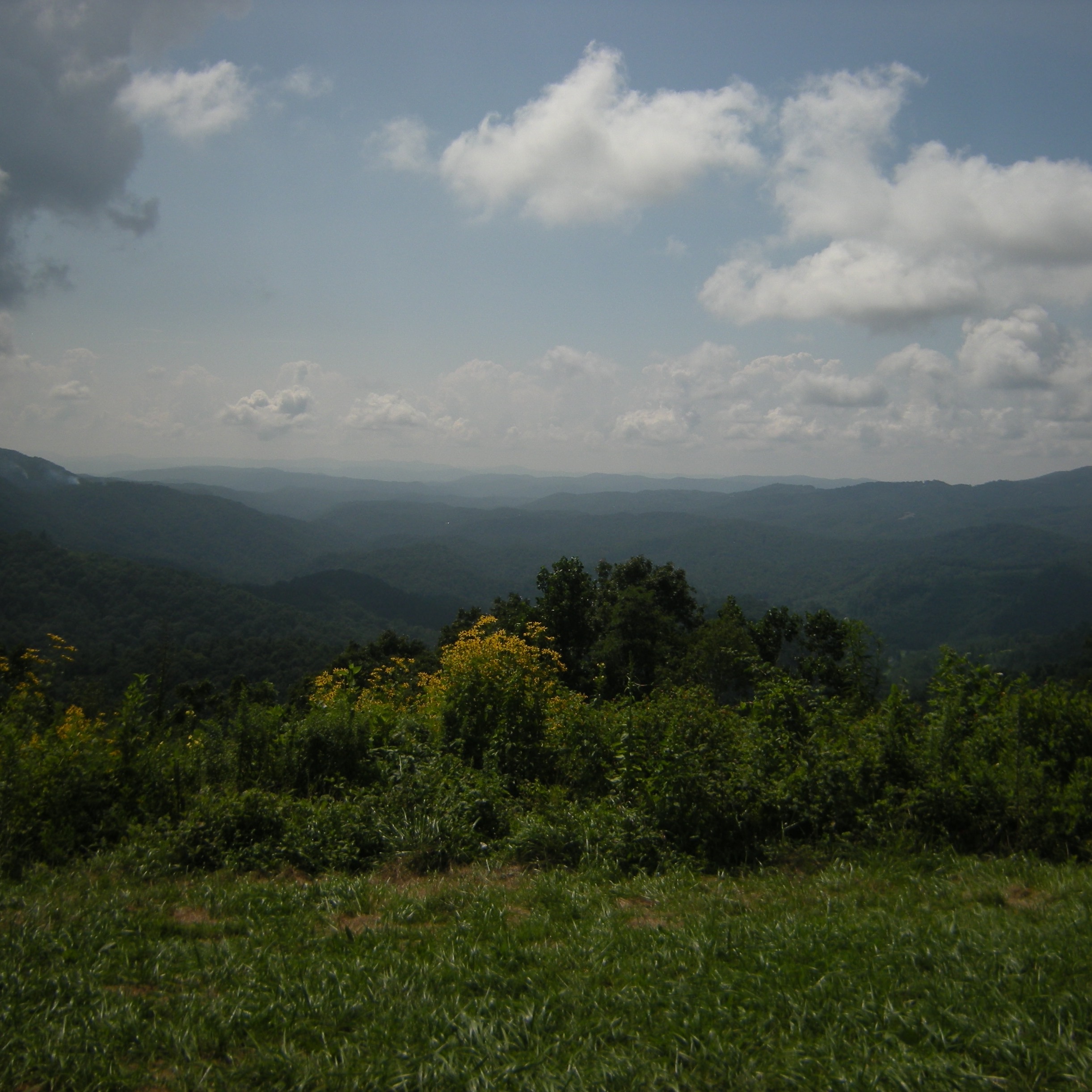 Photo of grandview