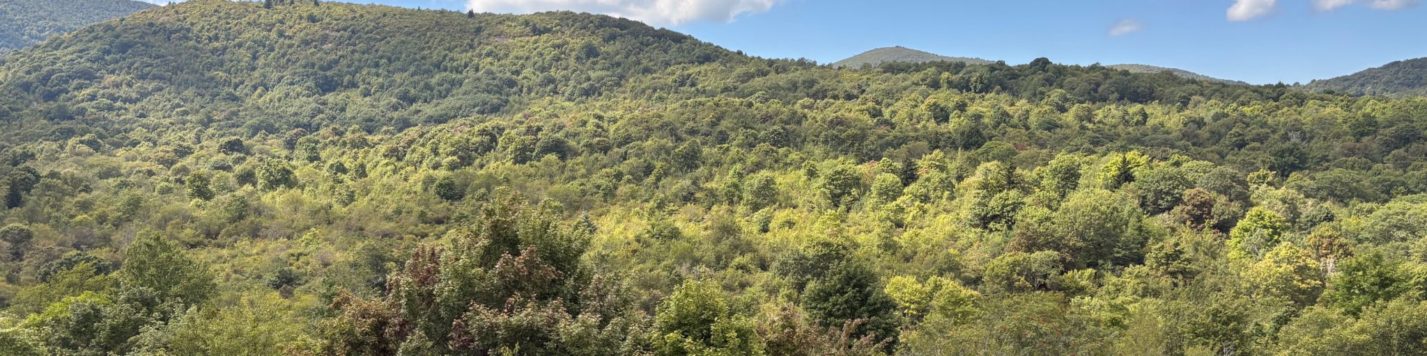 Graveyard Fields