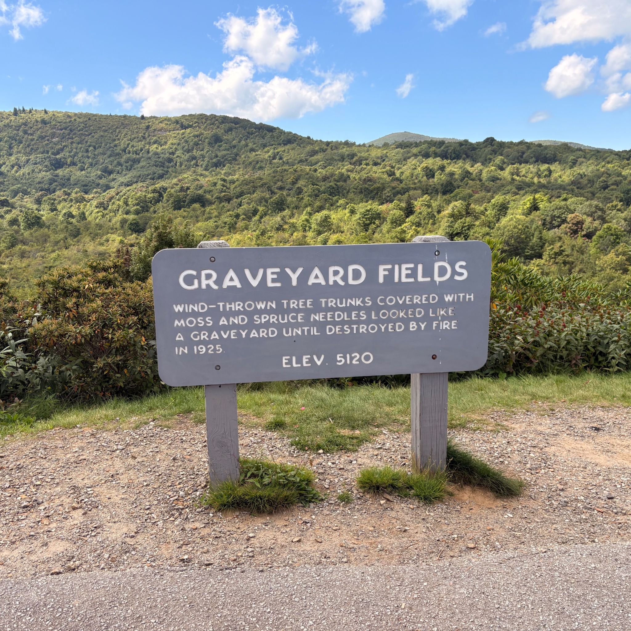 Graveyard Fields