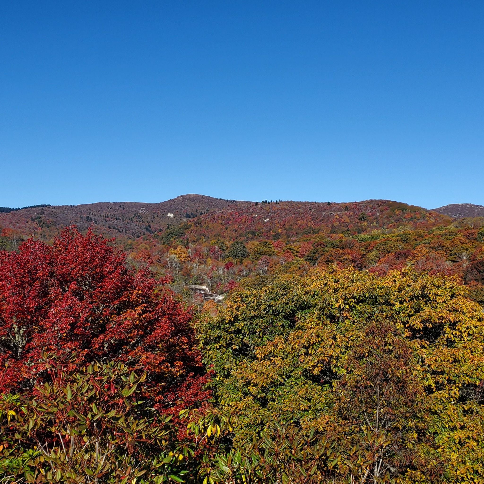 Photo of graveyard-fields