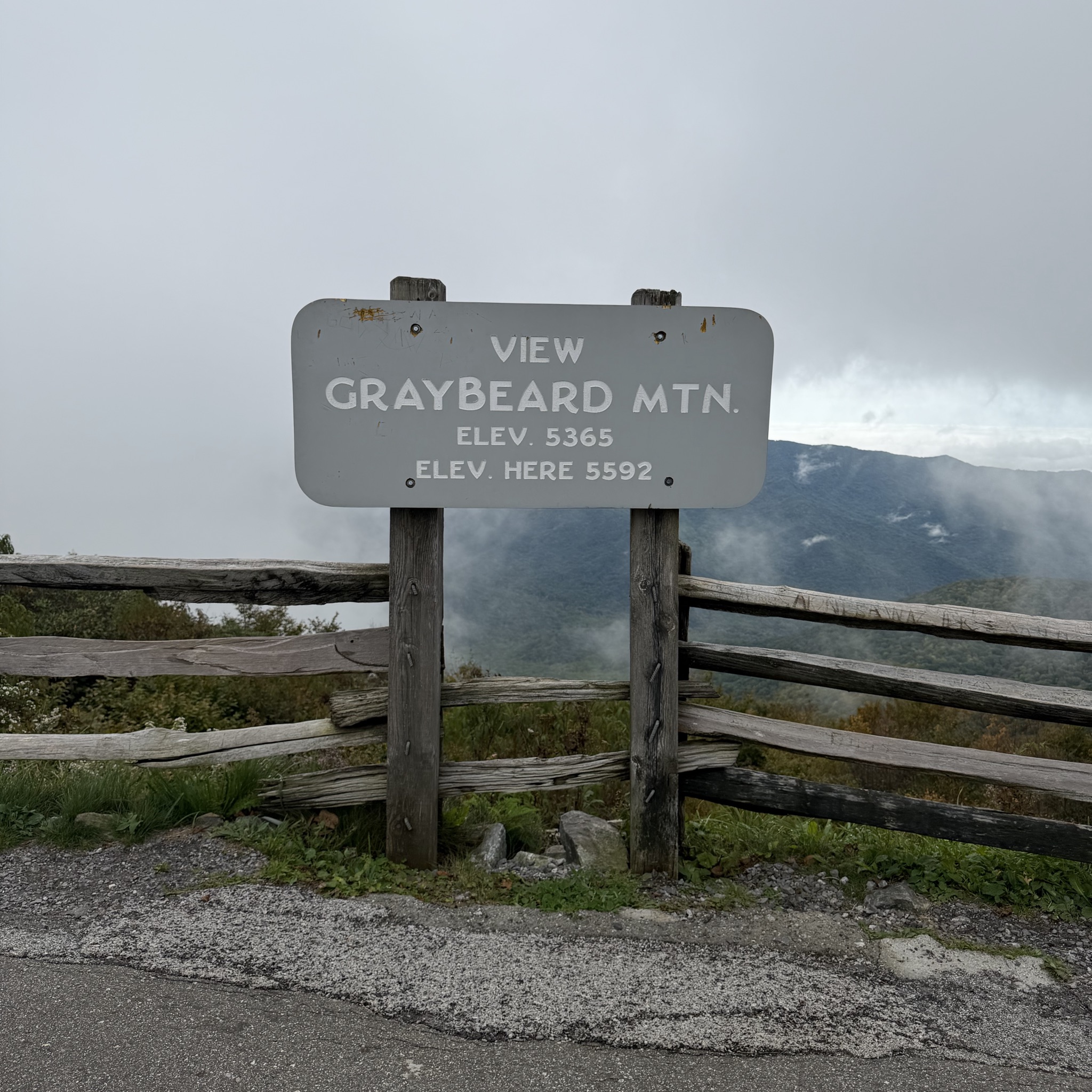 View of Greybeard Mountain
