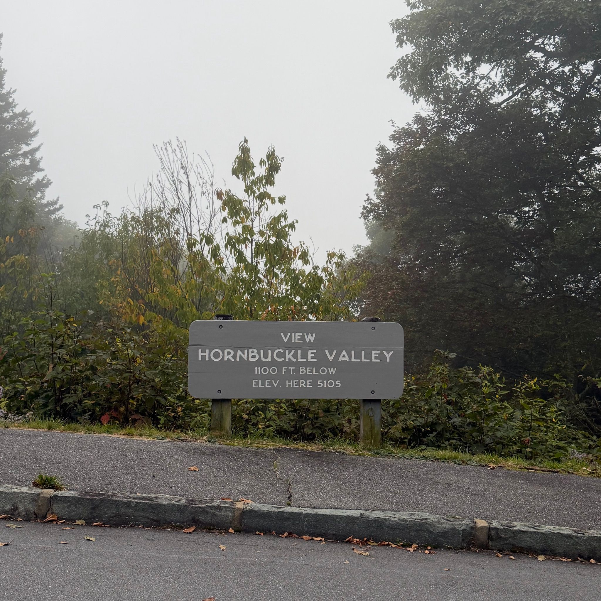 View of Hornbuckle Valley