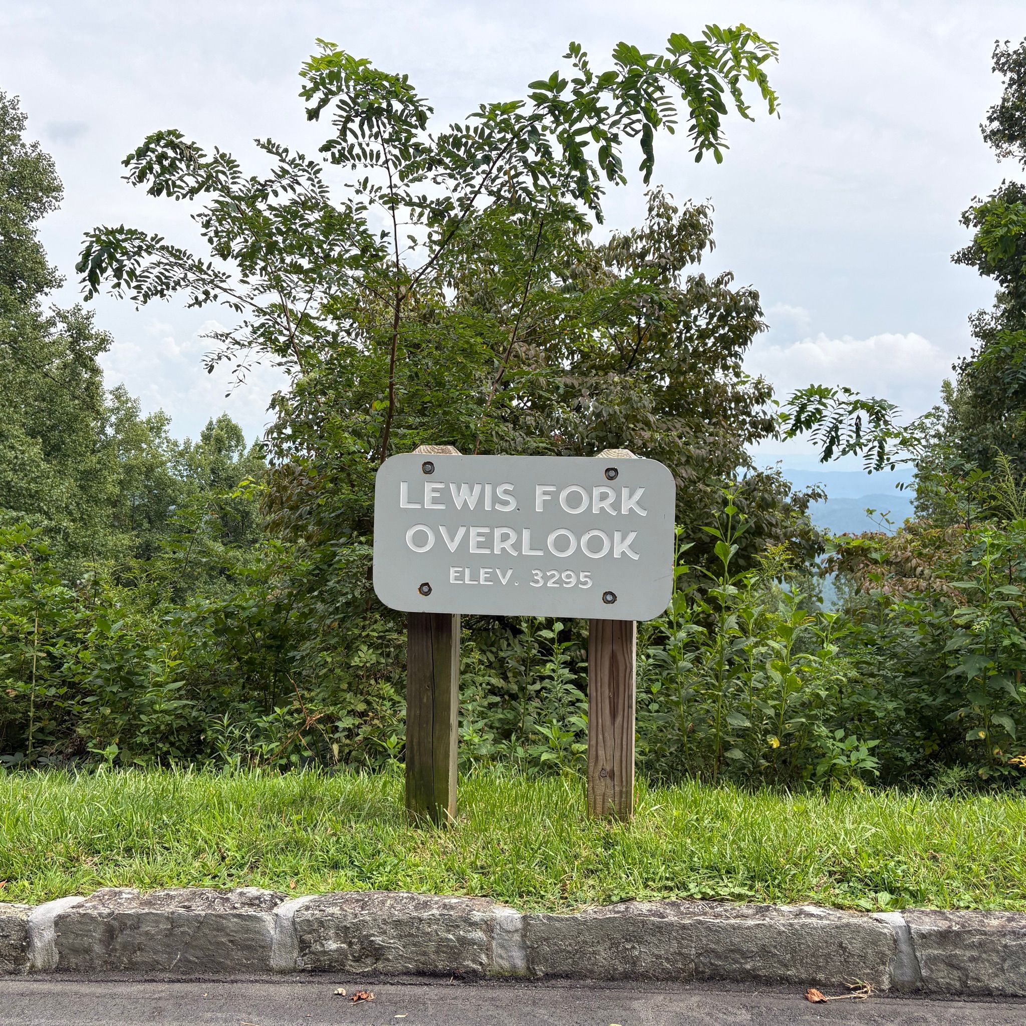Lewis Fork Overlook