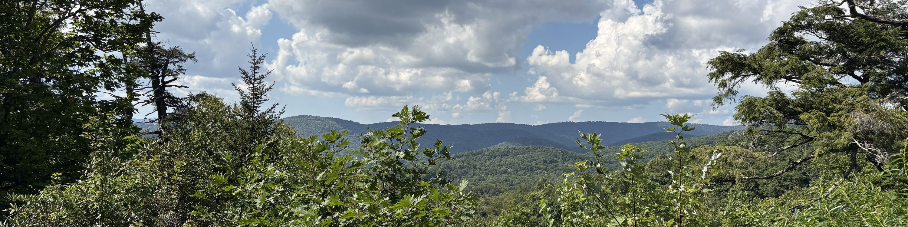 Little Bald Overlook