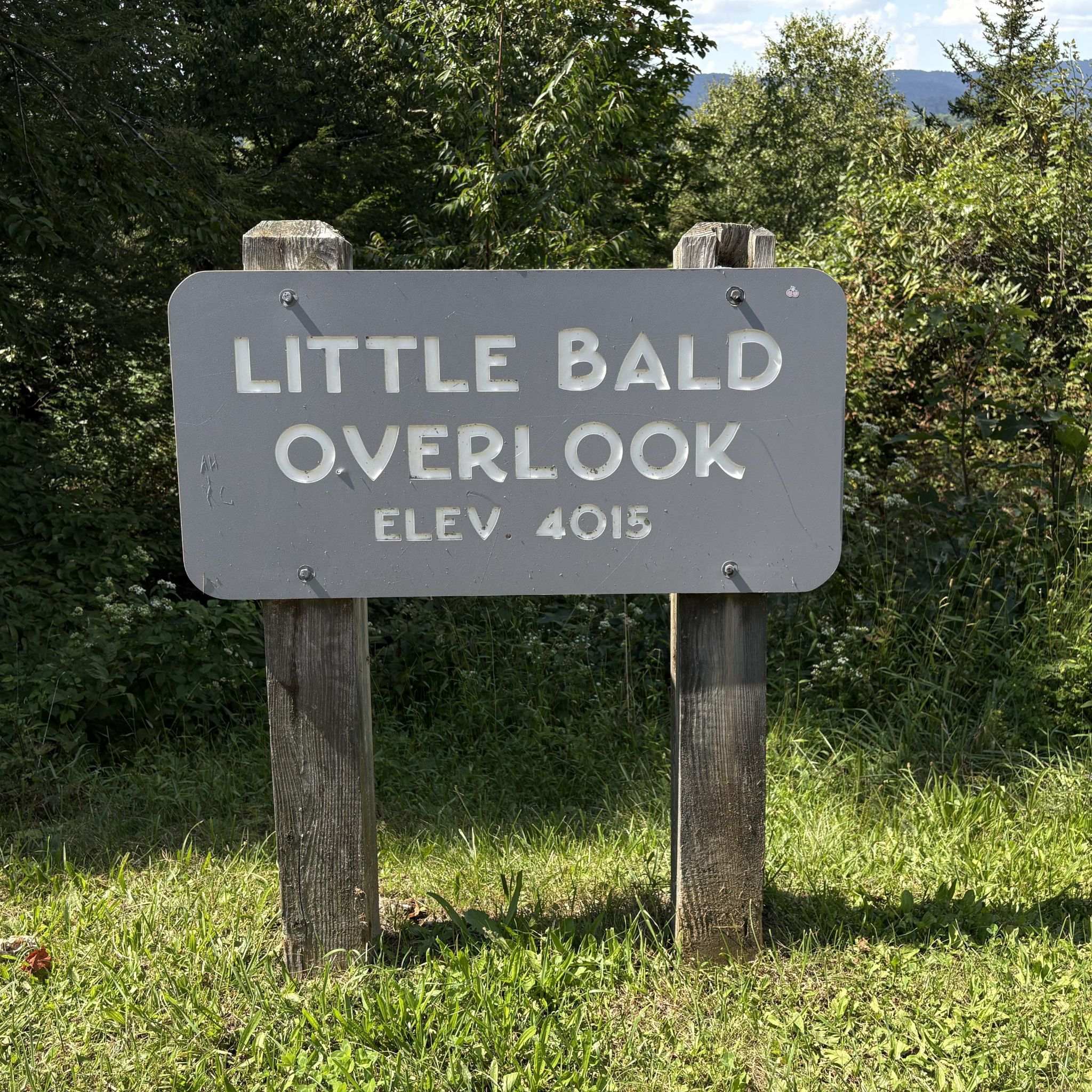 Little Bald Overlook