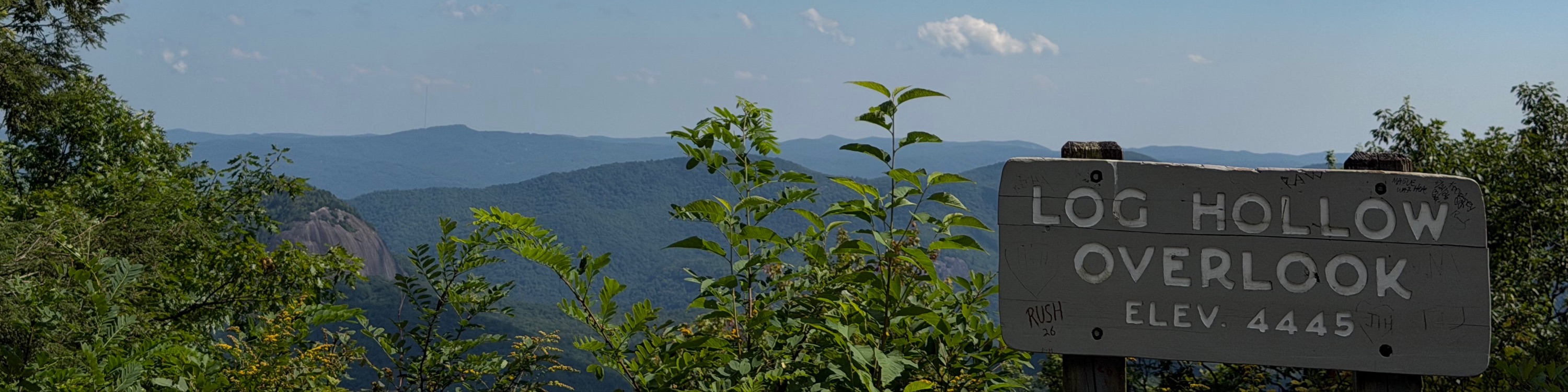 Log Hollow Overlook