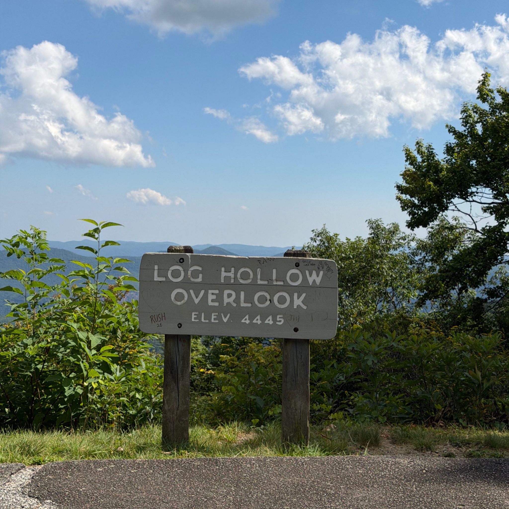 Log Hollow Overlook