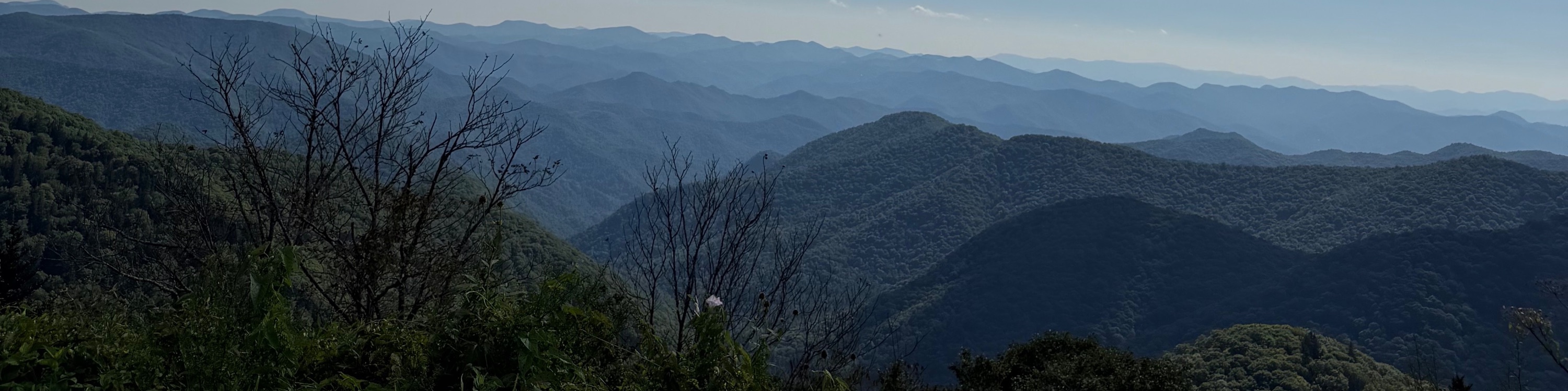 Lone Bald Overlook