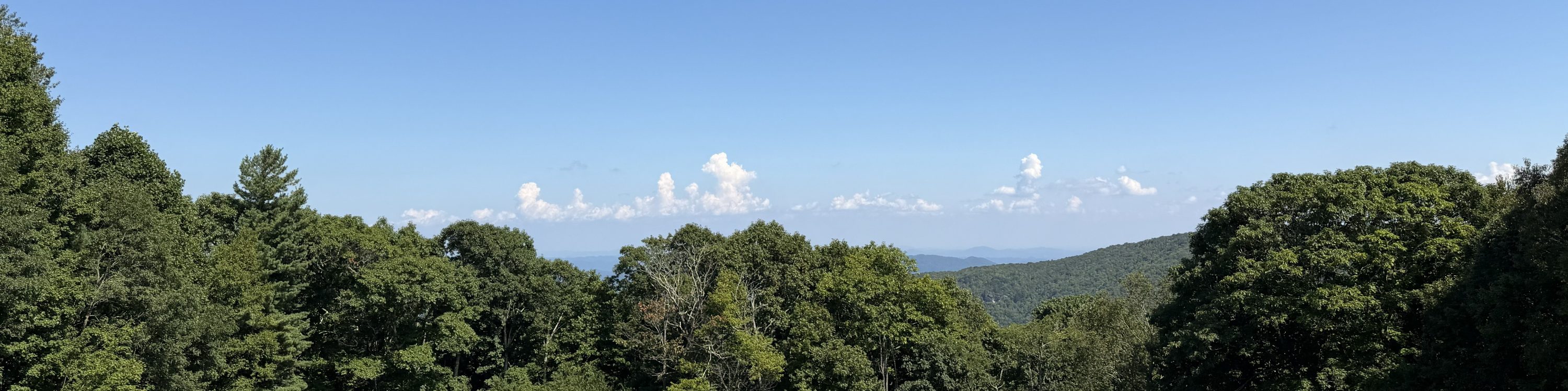 View of Lost Cove Cliffs