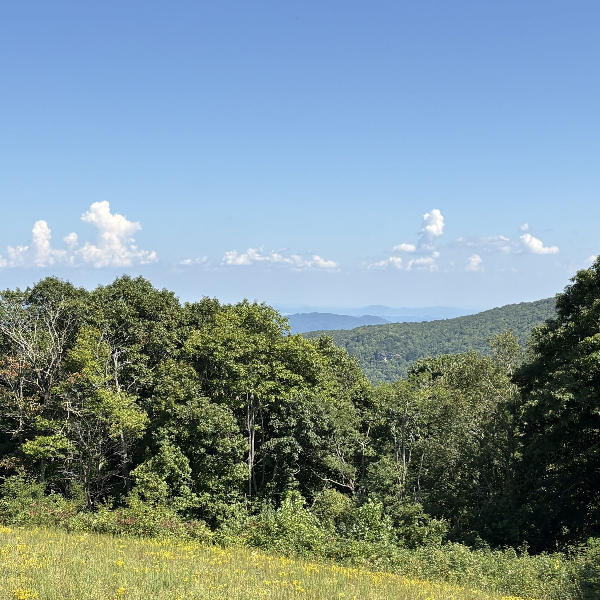 Photo of lost-cove-cliffs