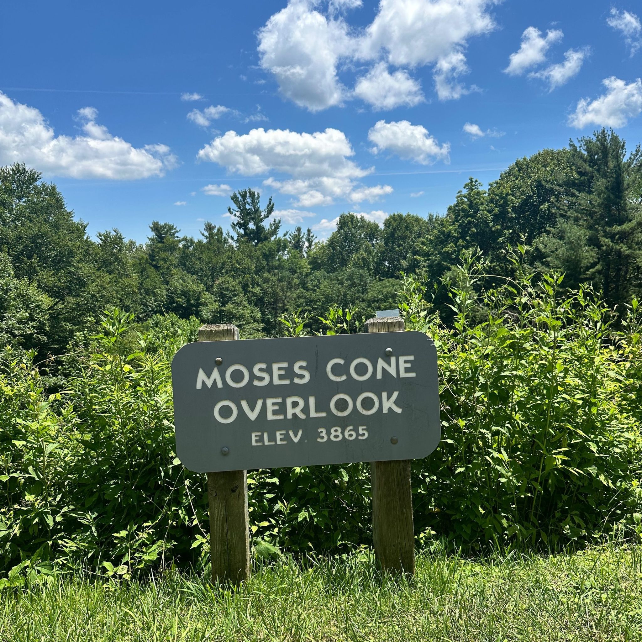 Moses Cone Overlook