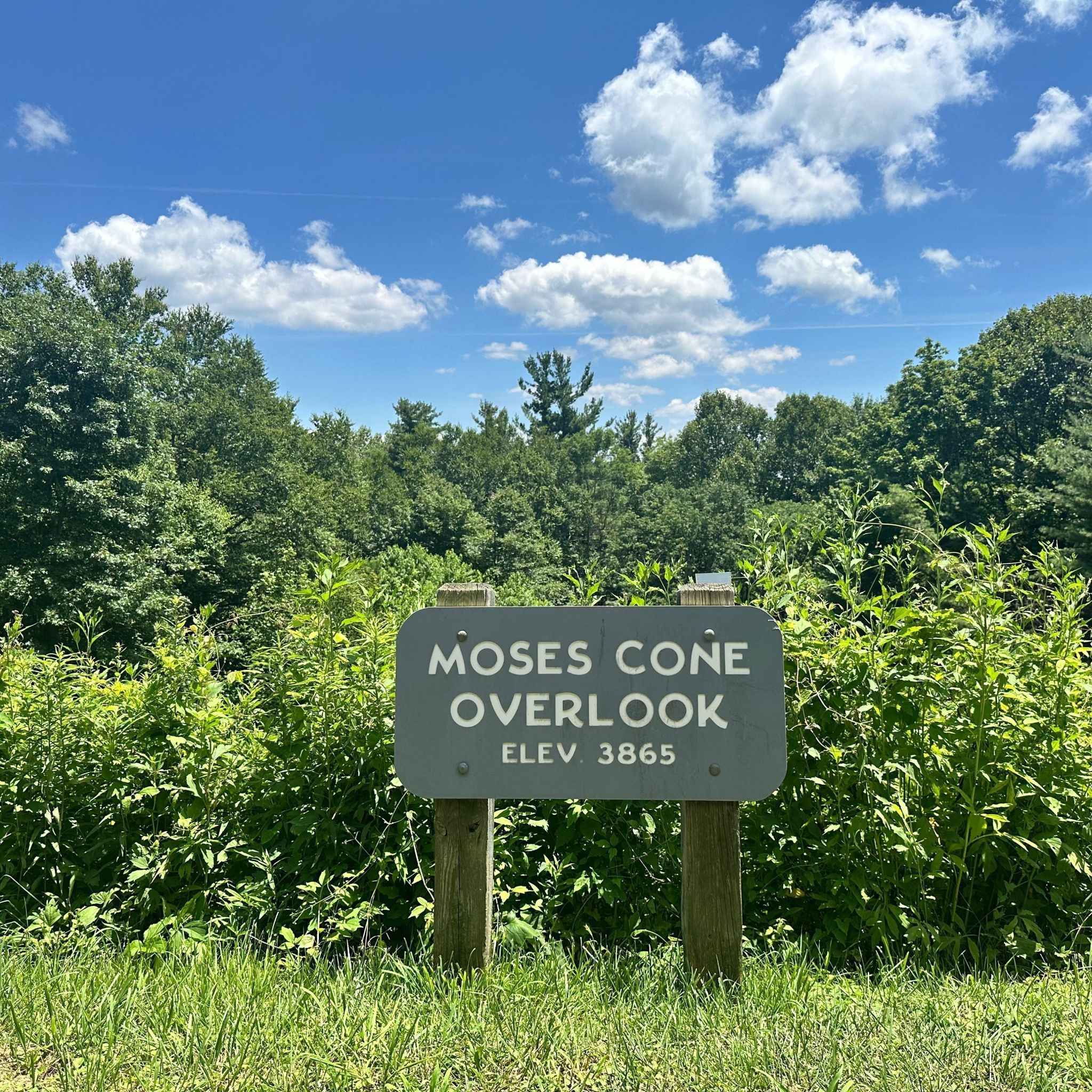 Photo of moses-cone