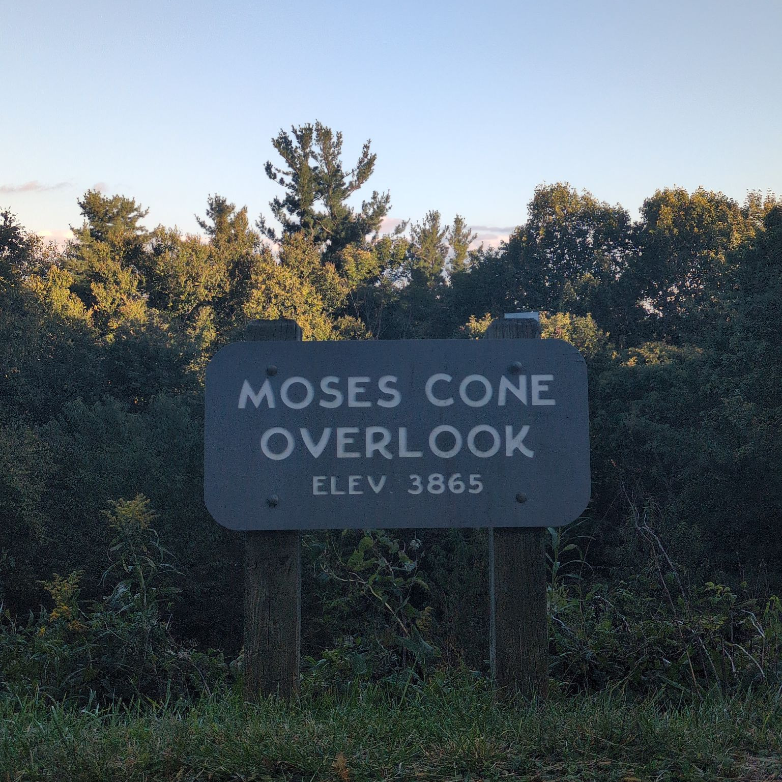 Photo of moses-cone