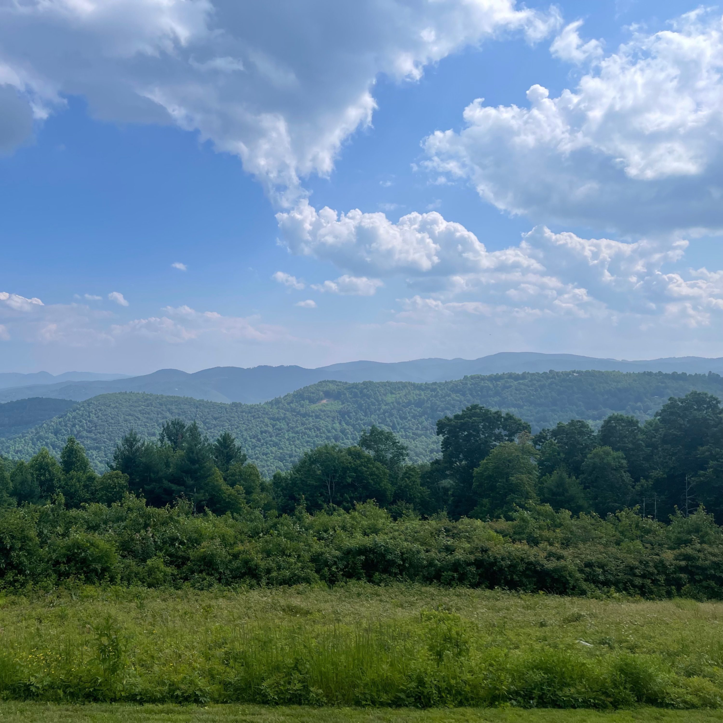Photo of osborne-mountain