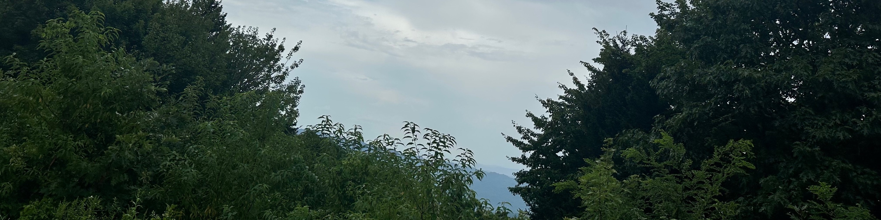 Pilot Ridge Overlook