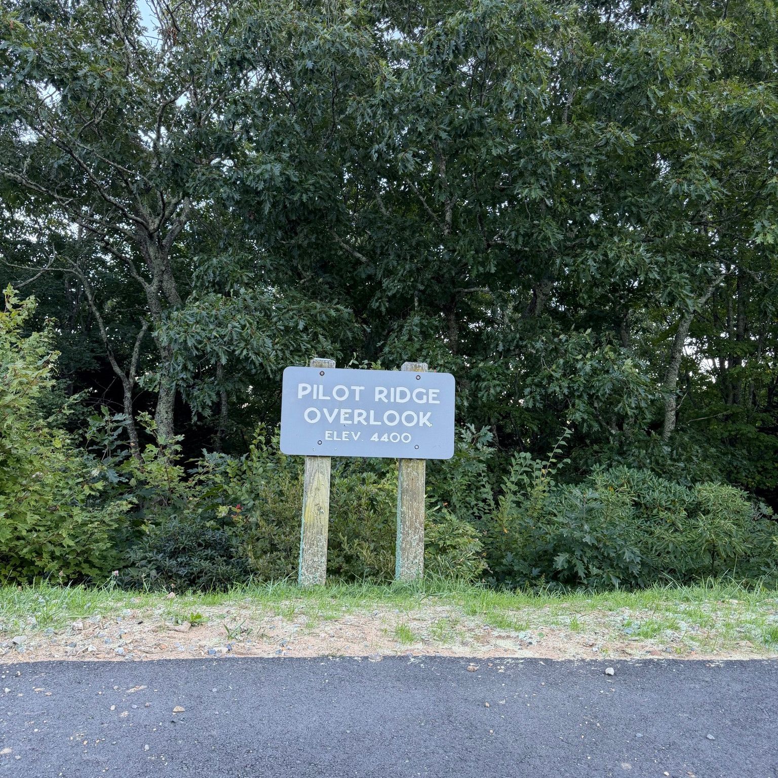 Photo of pilot-ridge