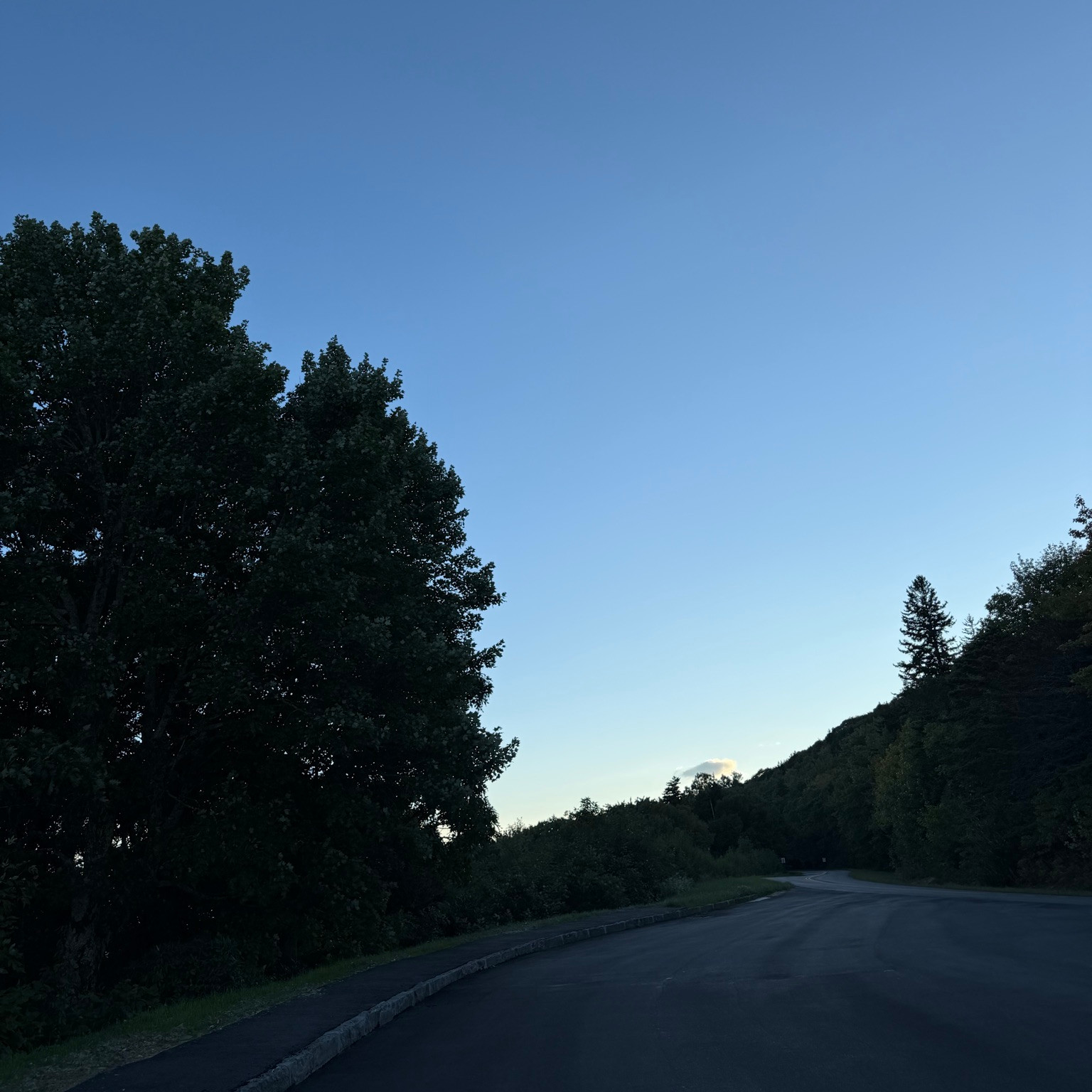 Photo of pilot-ridge