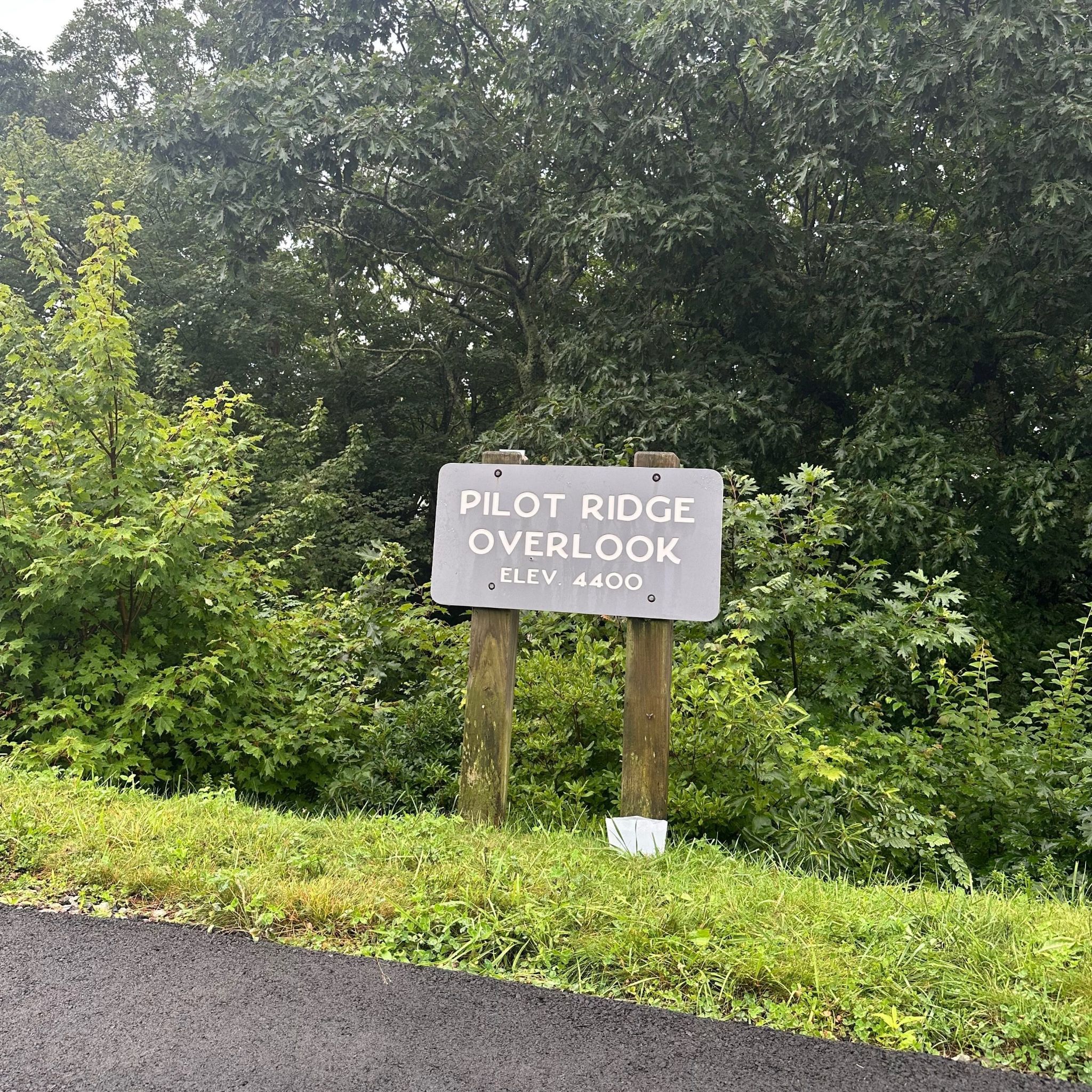 Pilot Ridge Overlook